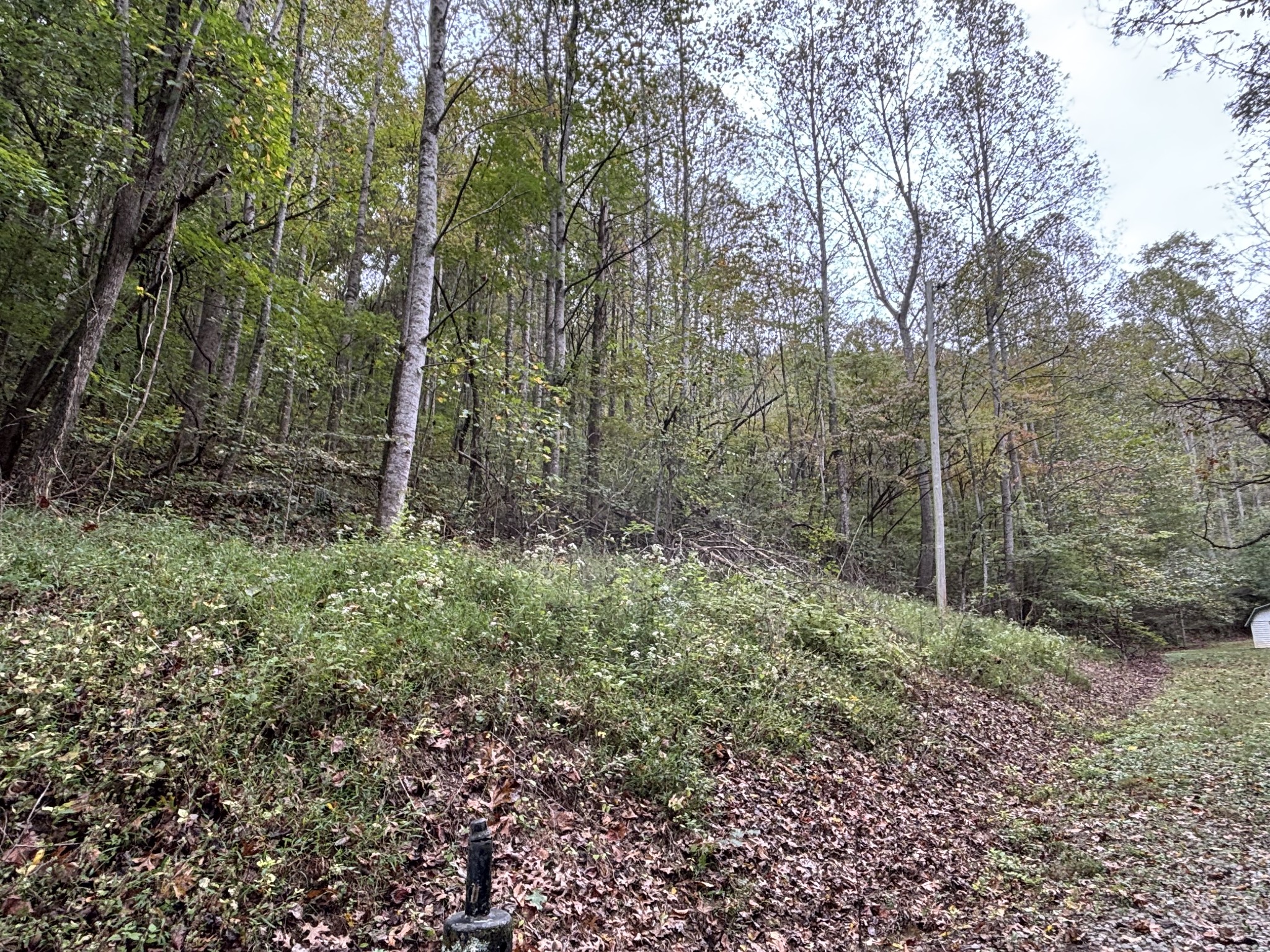 154 Plantation Drive Manchester TN 37355