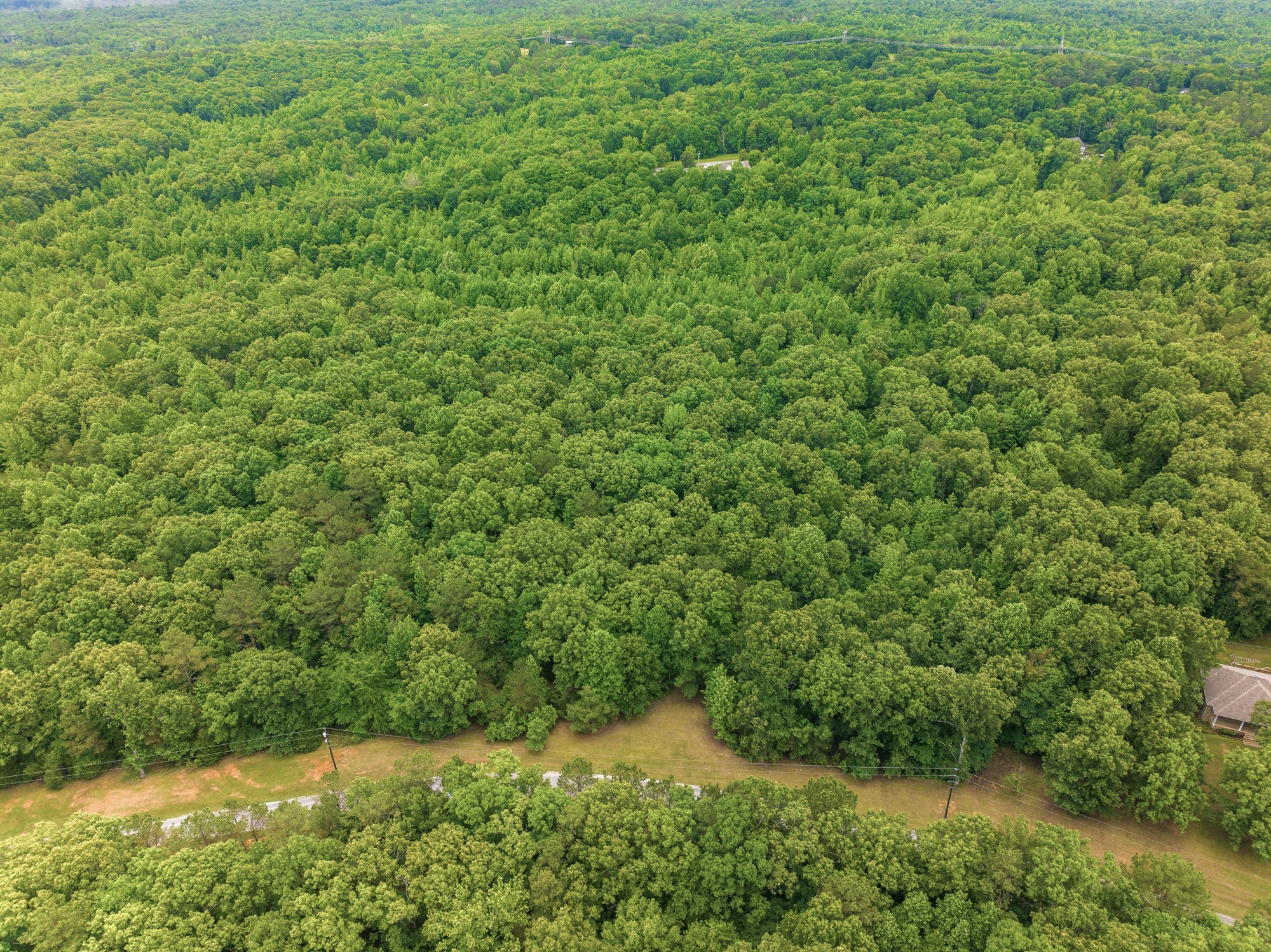 148 Sydney Lane Cedar Grove TN 38321