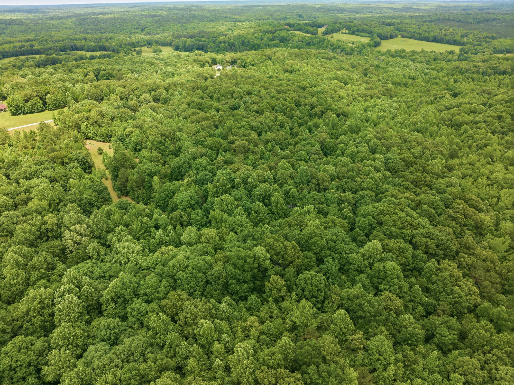 148 Sydney Lane Cedar Grove TN 38321