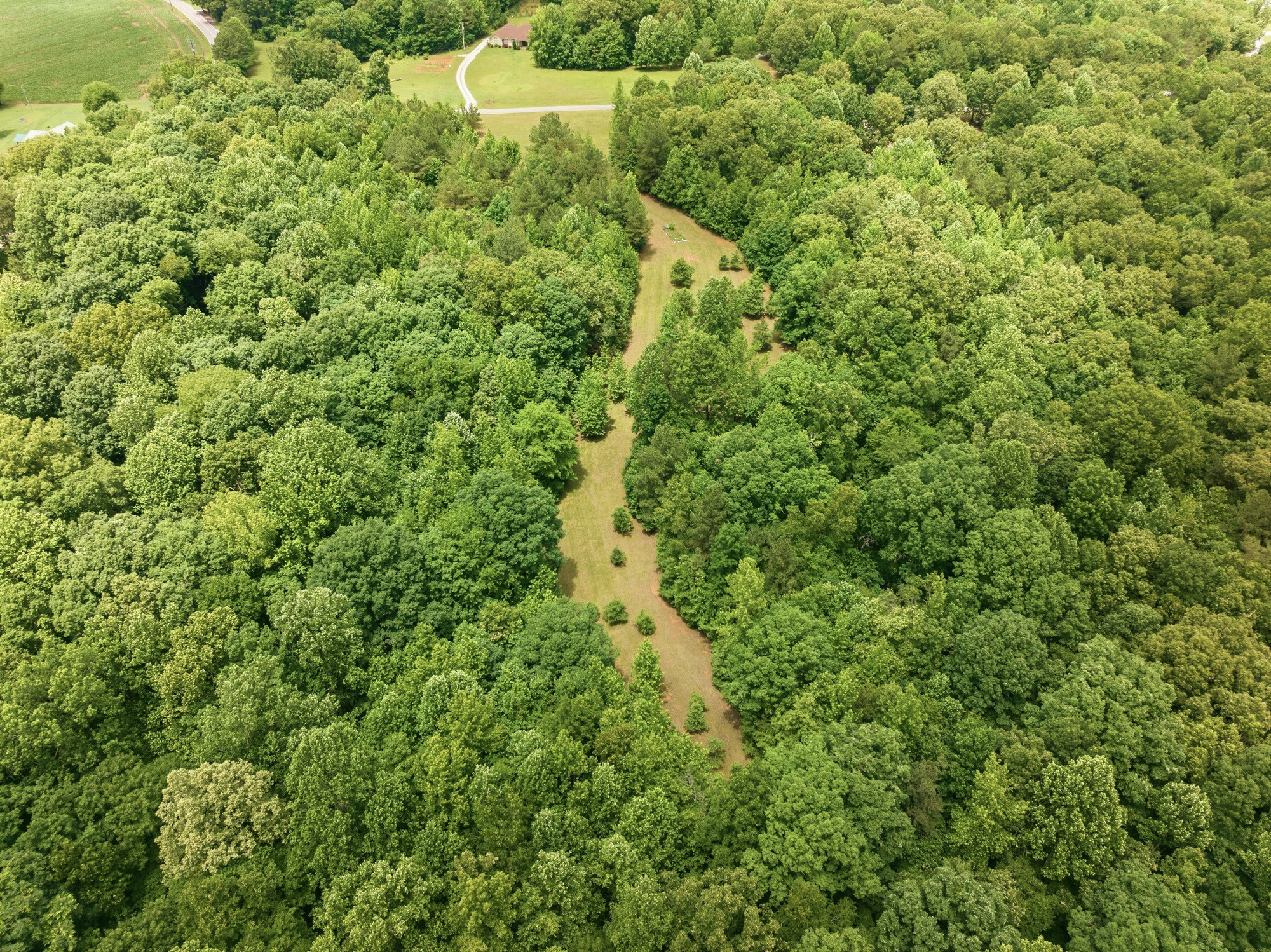 148 Sydney Lane Cedar Grove TN 38321