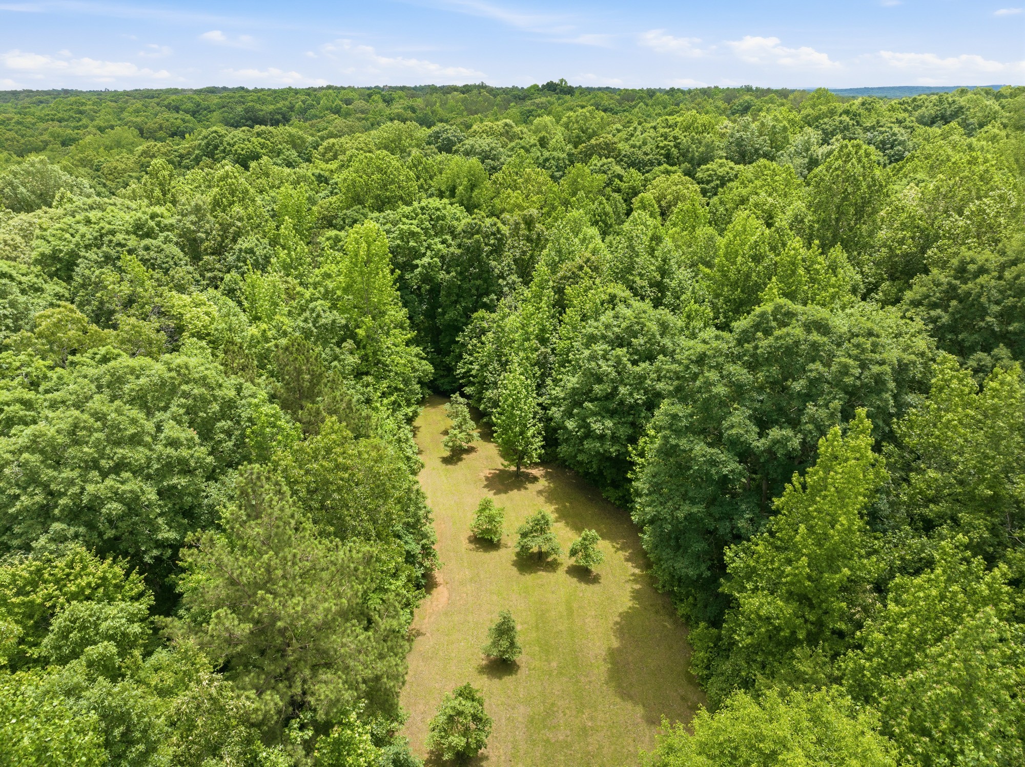 148 Sydney Lane Cedar Grove TN 38321