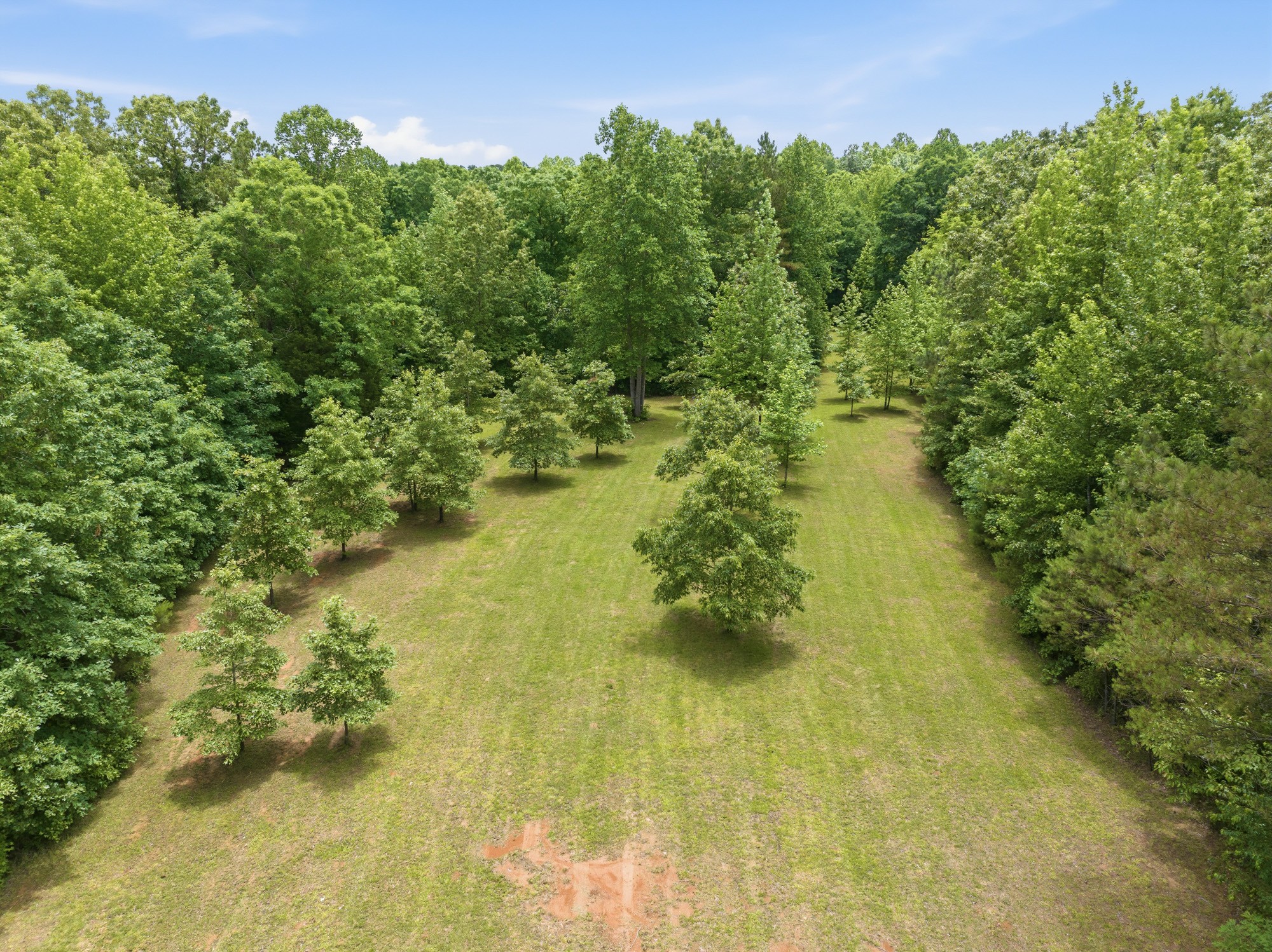 148 Sydney Lane Cedar Grove TN 38321