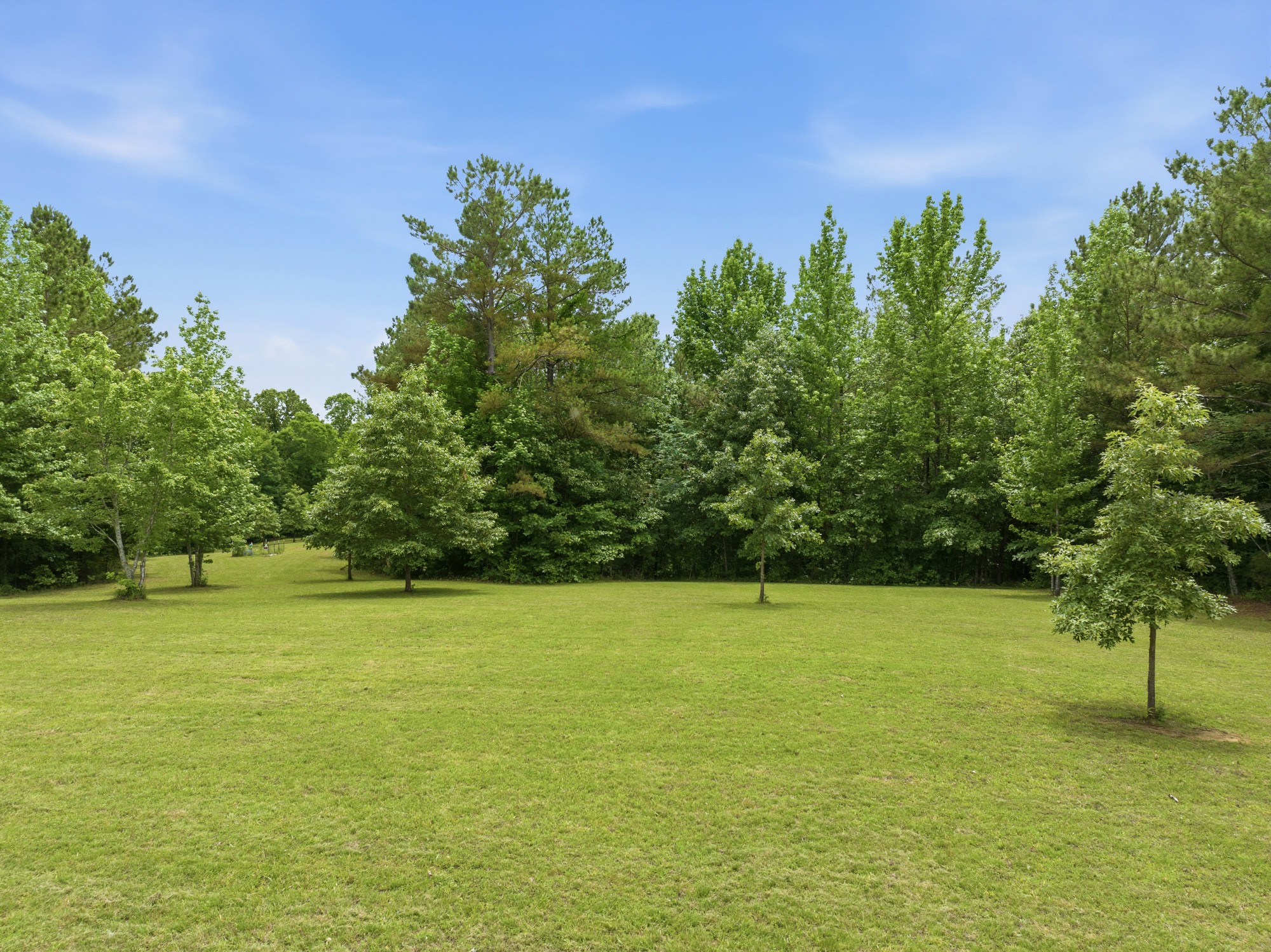 148 Sydney Lane Cedar Grove TN 38321