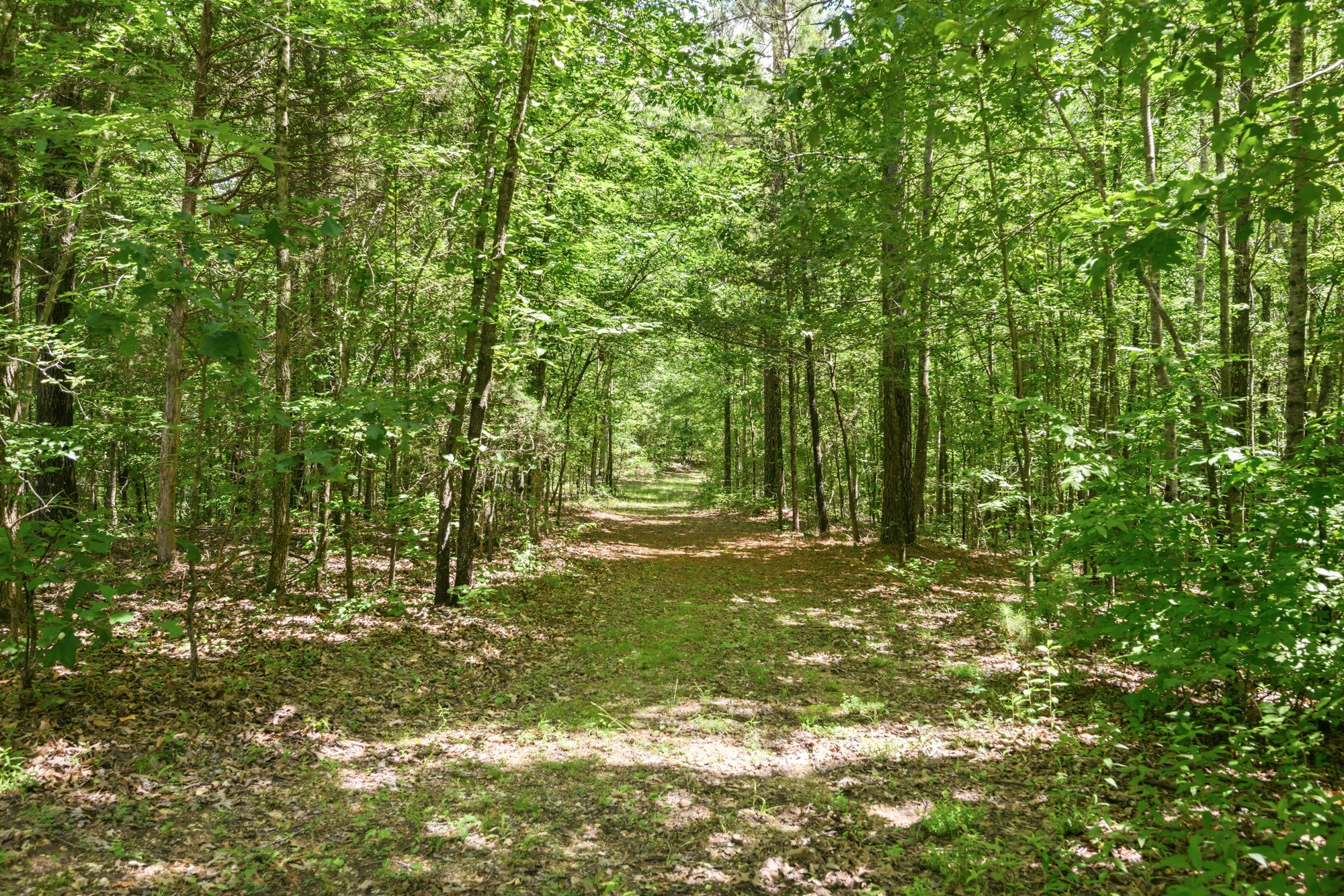 148 Sydney Lane Cedar Grove TN 38321