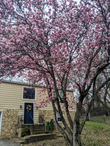 301 Panamint Drive Antioch TN 37013