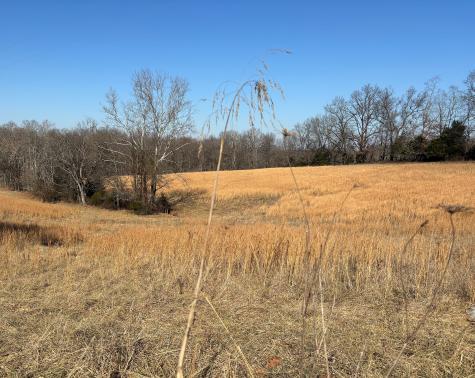 2999 Union Camp Road Lafayette TN 37083