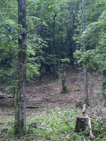 296 County Road 263 Niota TN 37826