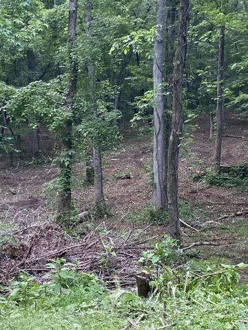 296 County Road 263 Niota TN 37826