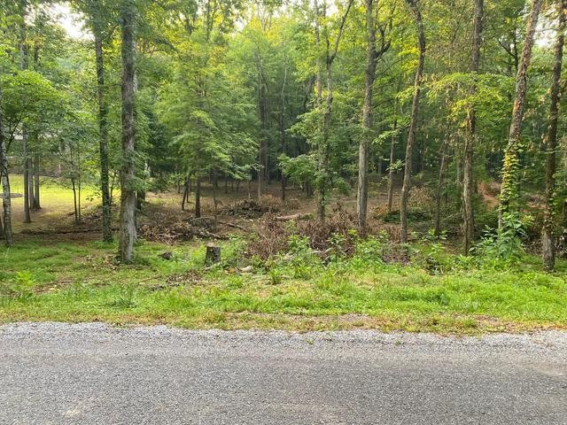 296 County Road 263 Niota TN 37826