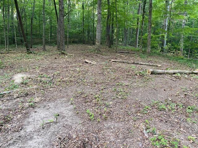 296 County Road 263 Niota TN 37826