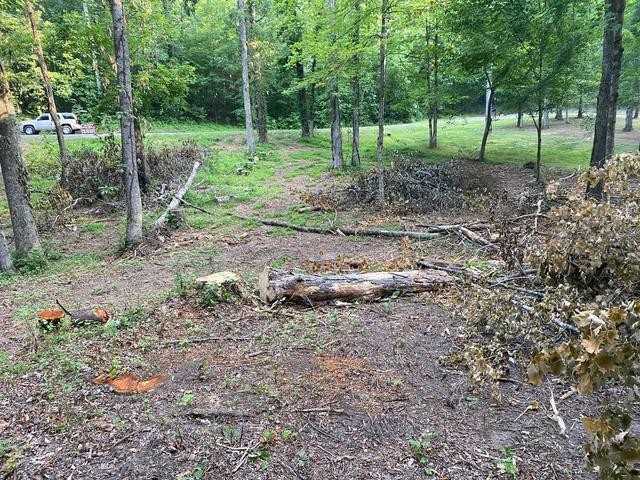 296 County Road 263 Niota TN 37826