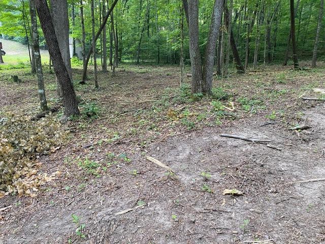 296 County Road 263 Niota TN 37826