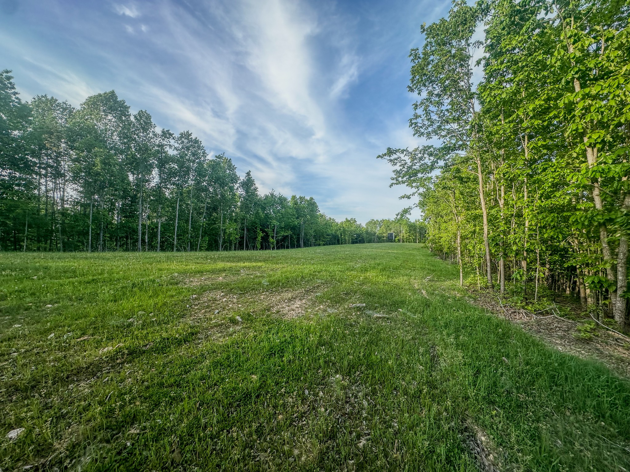 0 Firetower Road Centerville TN 37033