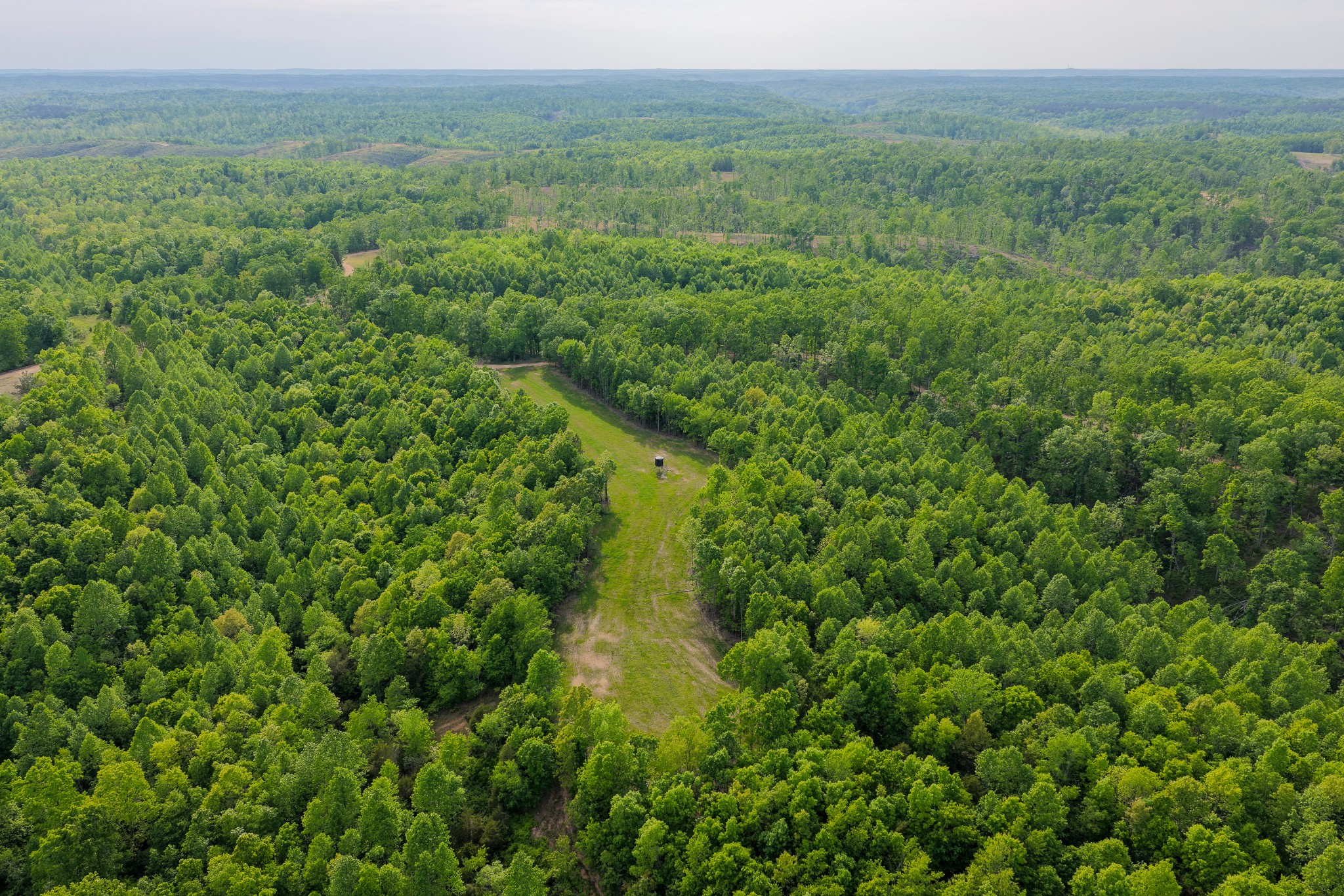 0 Firetower Road Centerville TN 37033