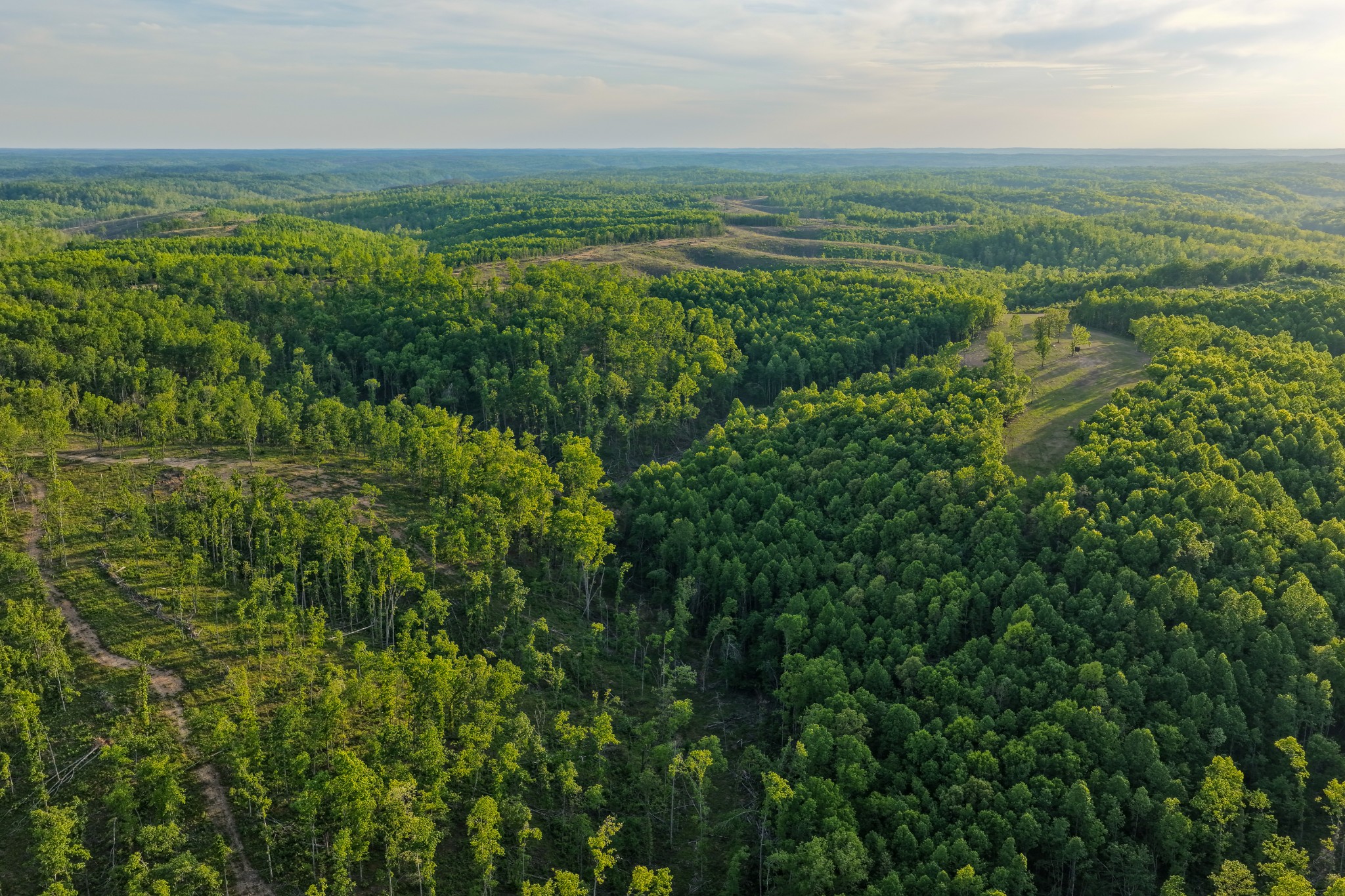 0 Firetower Road Centerville TN 37033