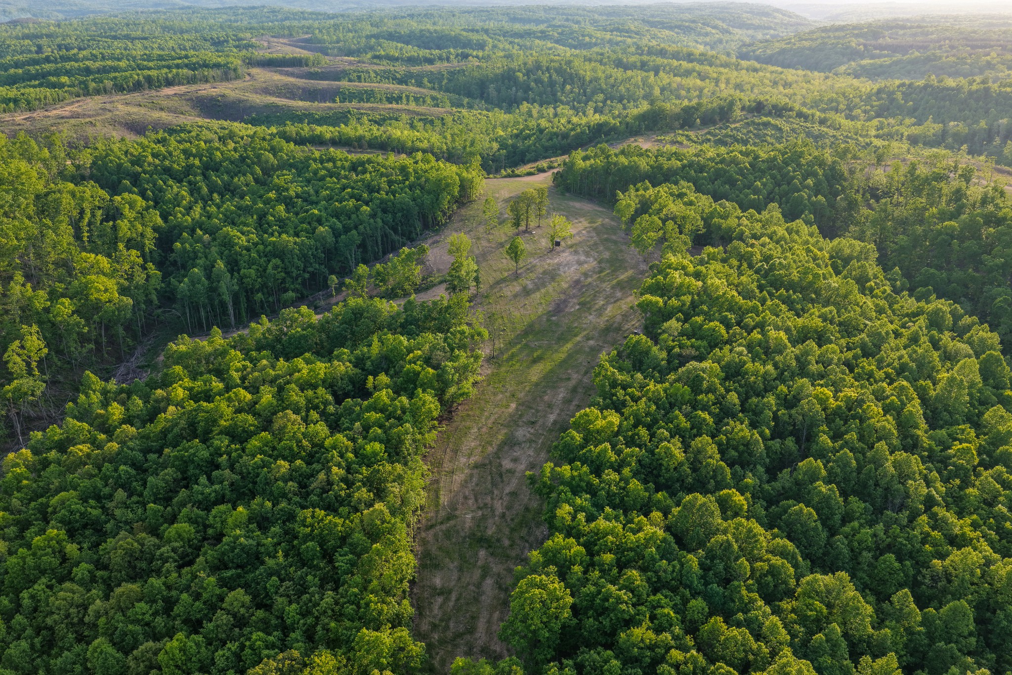 0 Firetower Road Centerville TN 37033