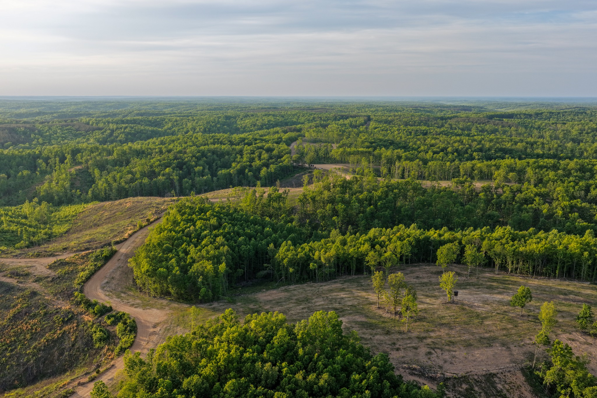 0 Firetower Road Centerville TN 37033