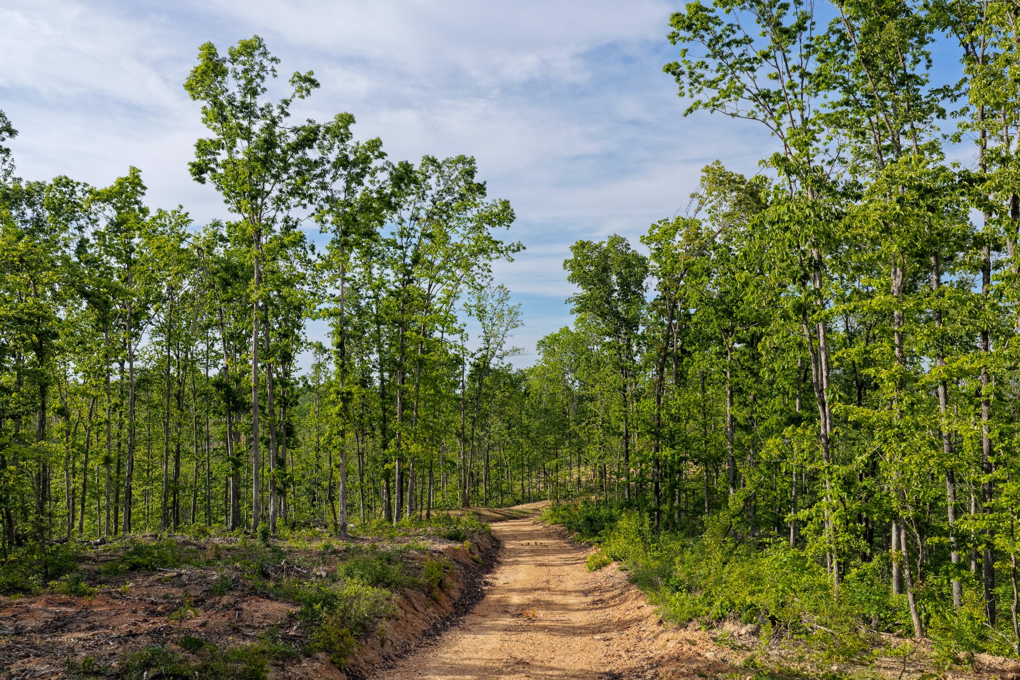 0 Firetower Road Centerville TN 37033