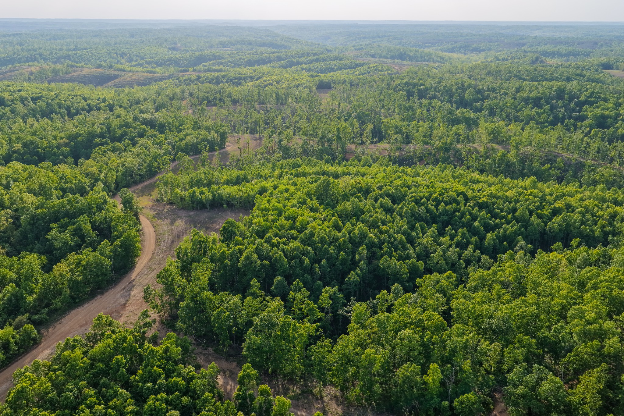 0 Firetower Road Centerville TN 37033