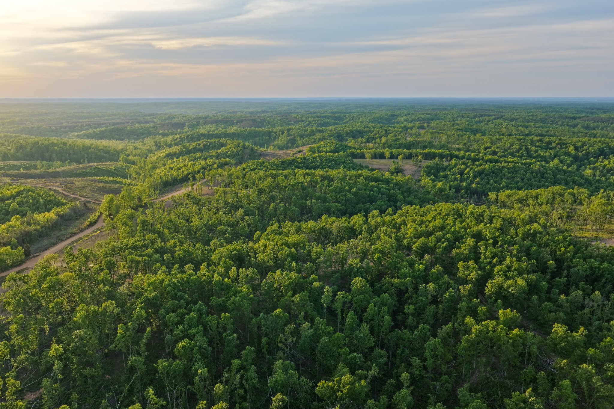 0 Firetower Road Centerville TN 37033