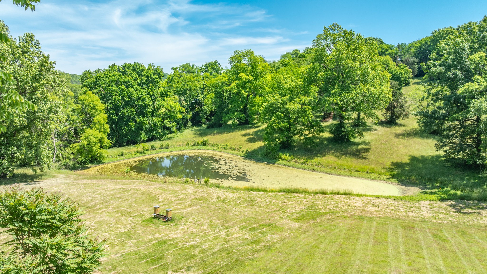 4446 Pratt Lane Franklin TN 37064