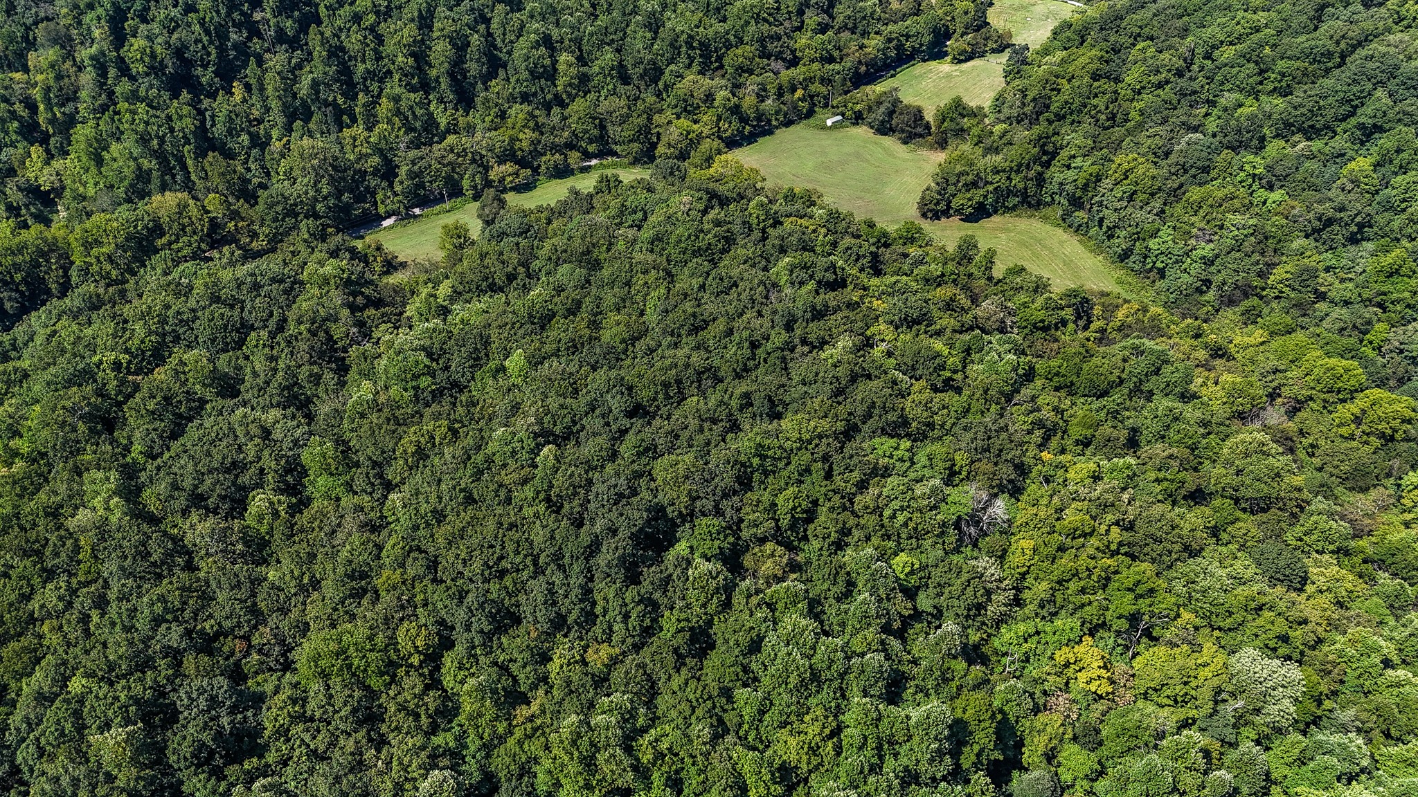 0 Straight Creek Road Wartrace TN 37183