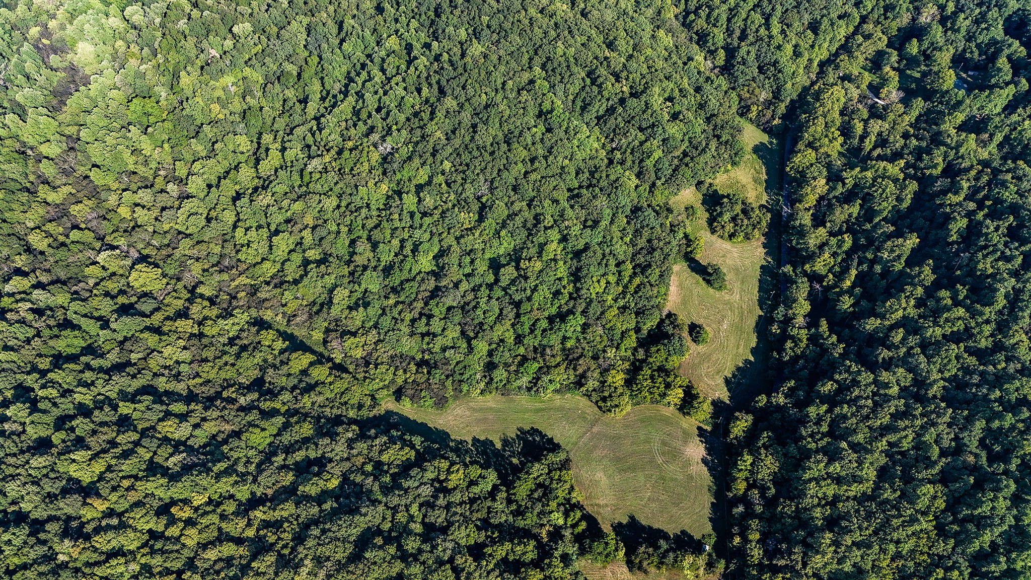 0 Straight Creek Road Wartrace TN 37183