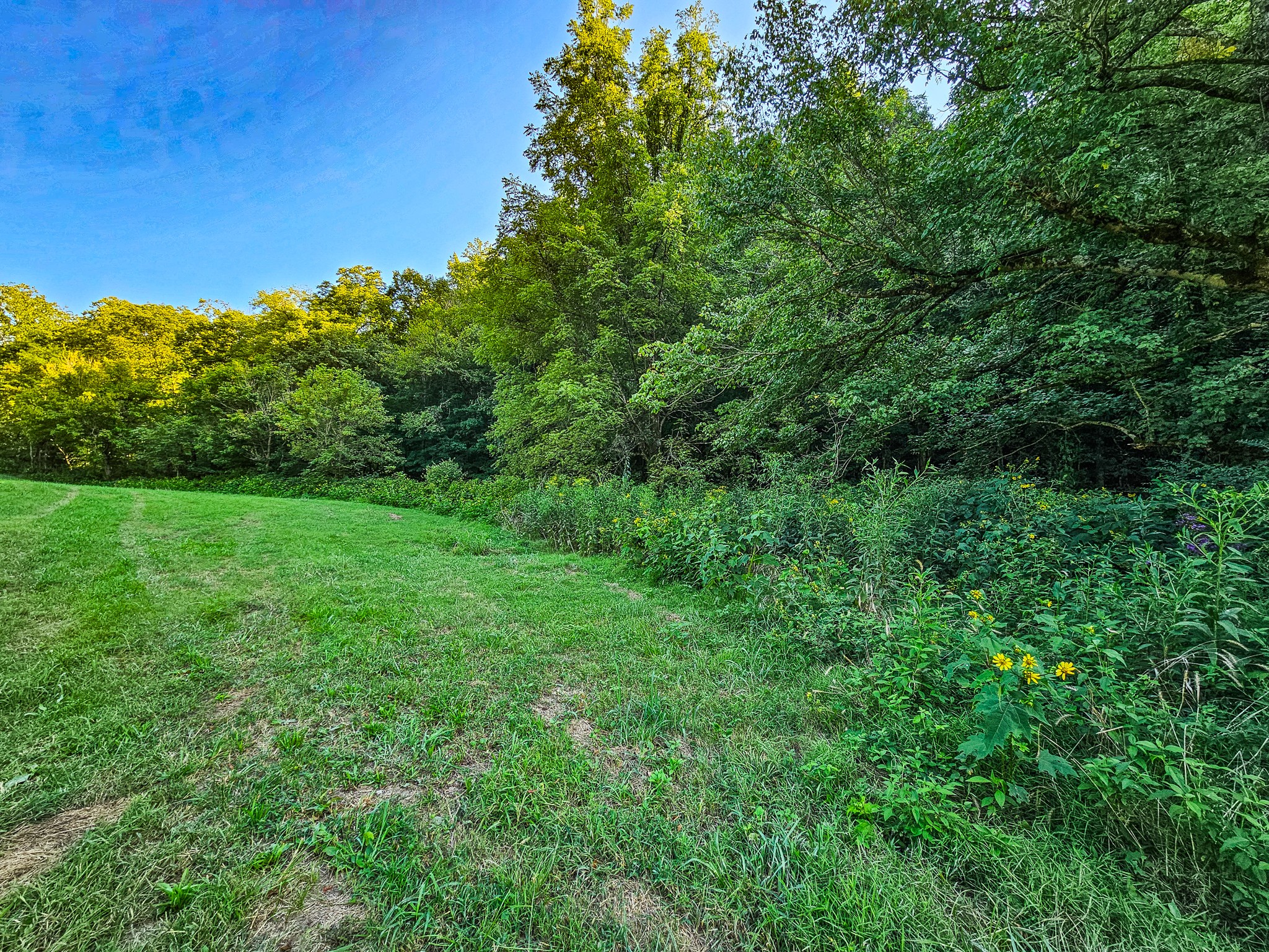 0 Straight Creek Road Wartrace TN 37183
