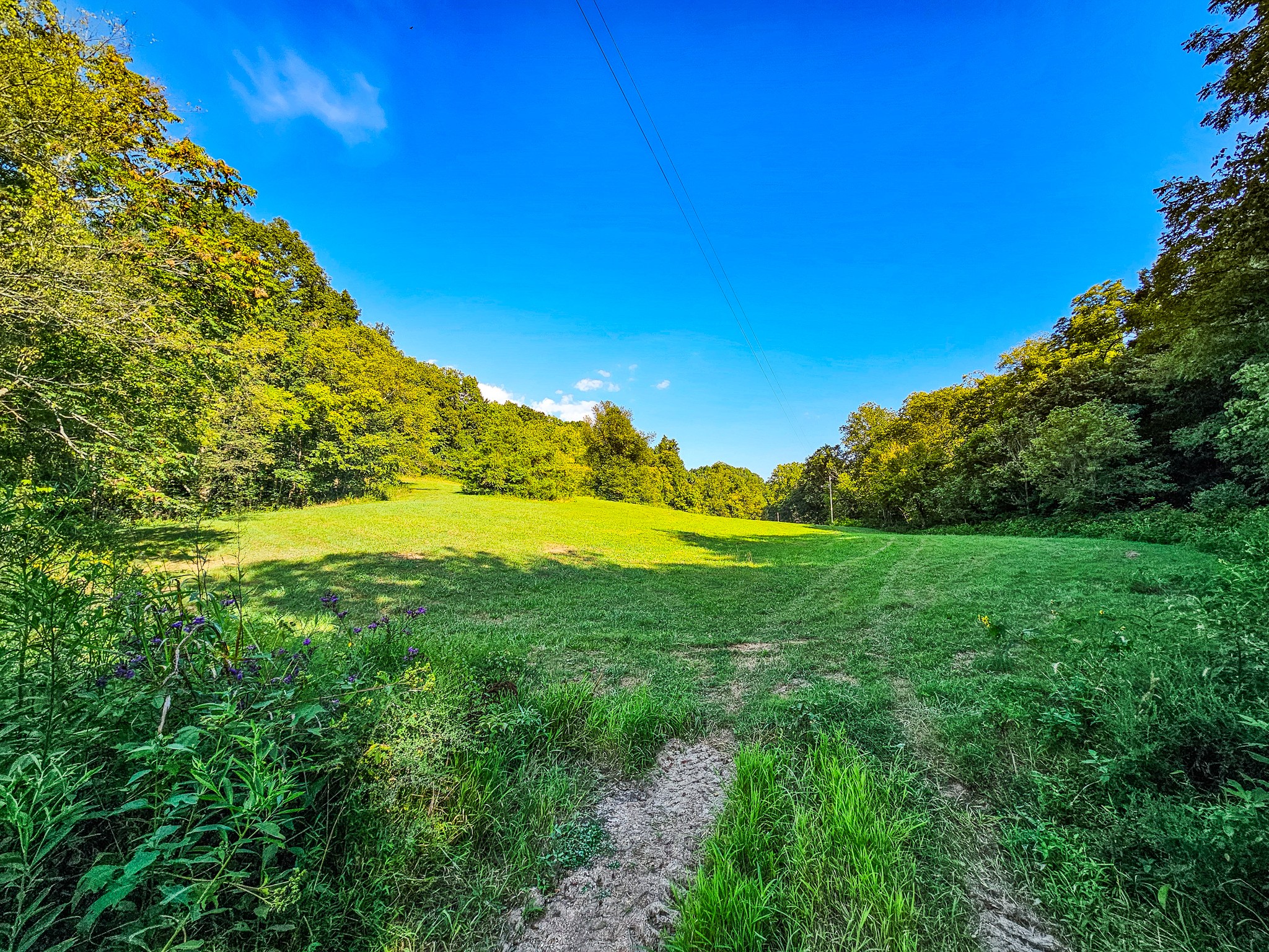 0 Straight Creek Road Wartrace TN 37183