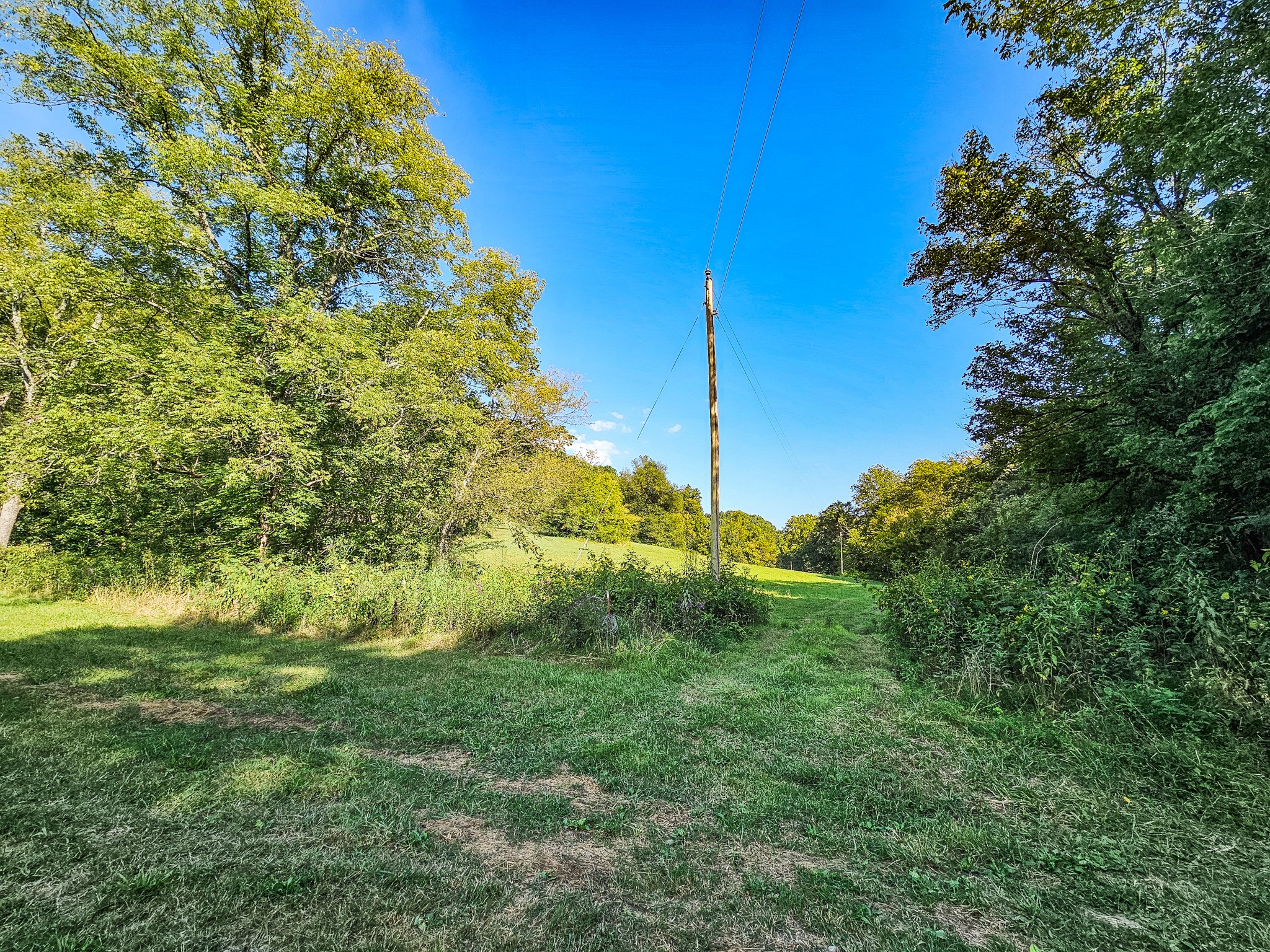 0 Straight Creek Road Wartrace TN 37183