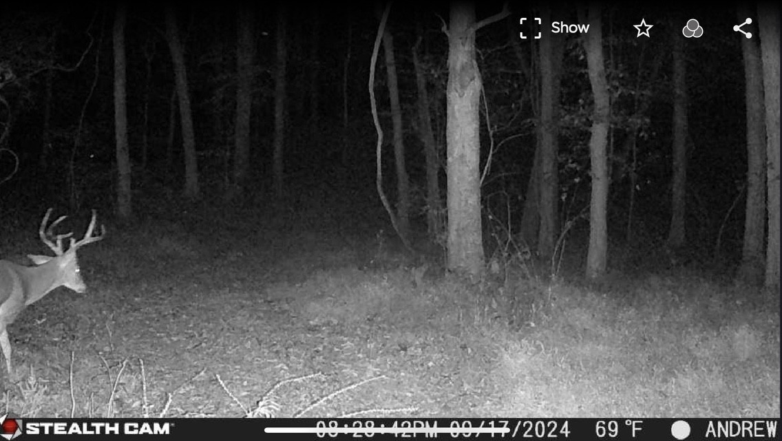 0 Straight Creek Road Wartrace TN 37183
