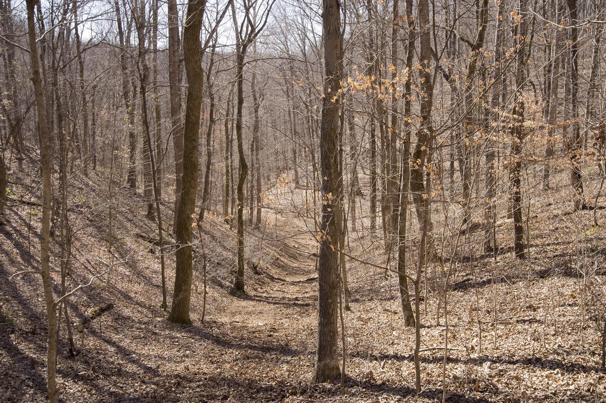 0 Straight Creek Road Wartrace TN 37183