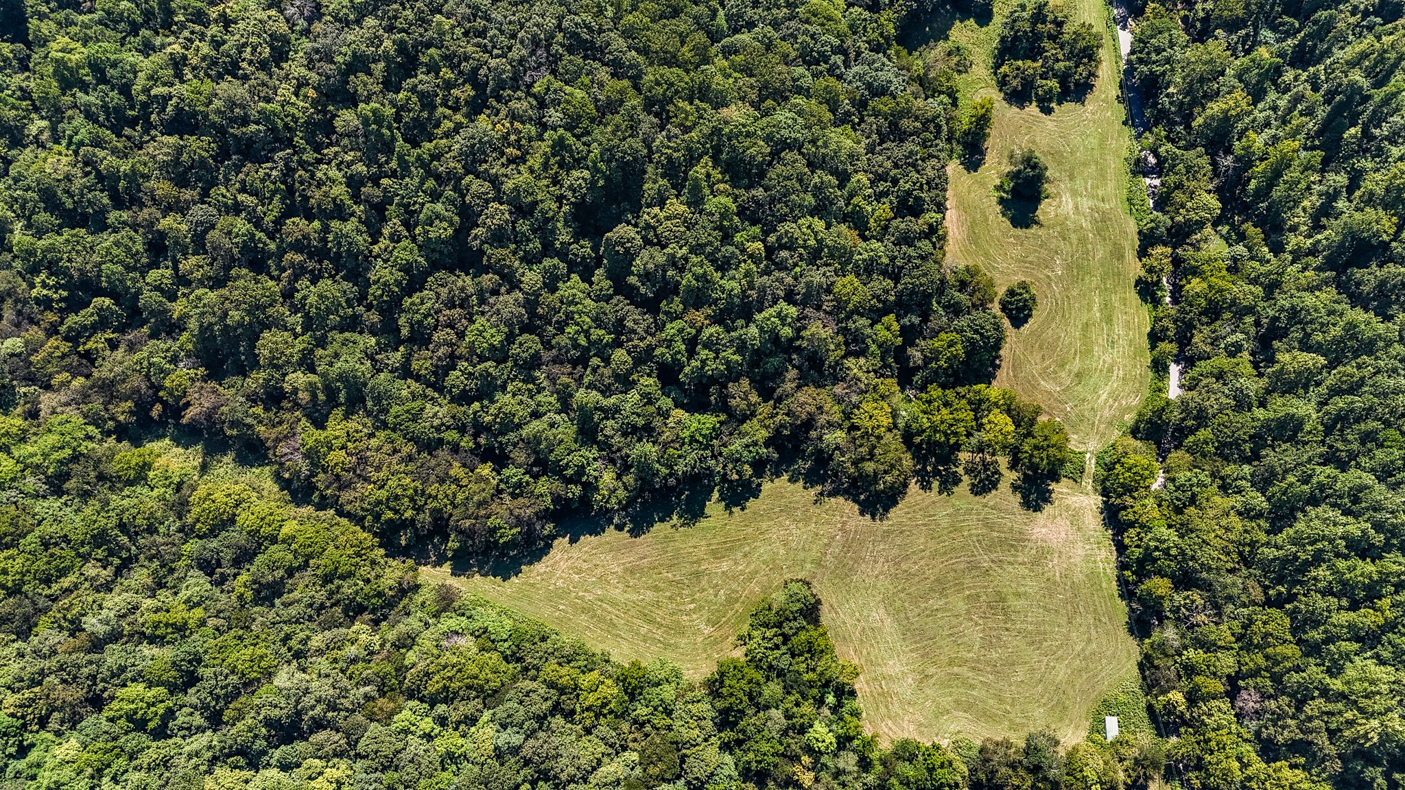 0 Straight Creek Road Wartrace TN 37183