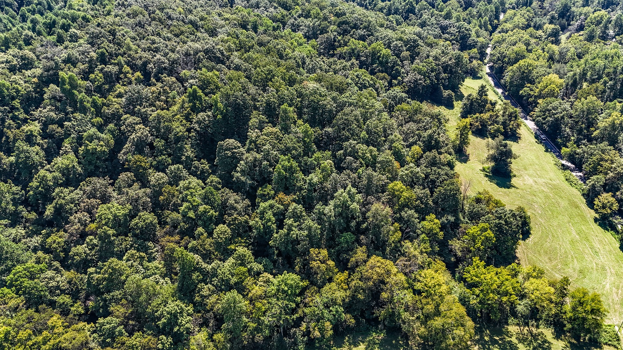 0 Straight Creek Road Wartrace TN 37183