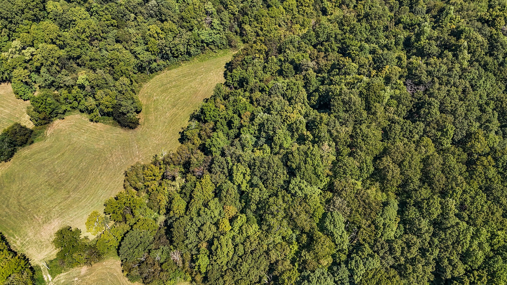 0 Straight Creek Road Wartrace TN 37183