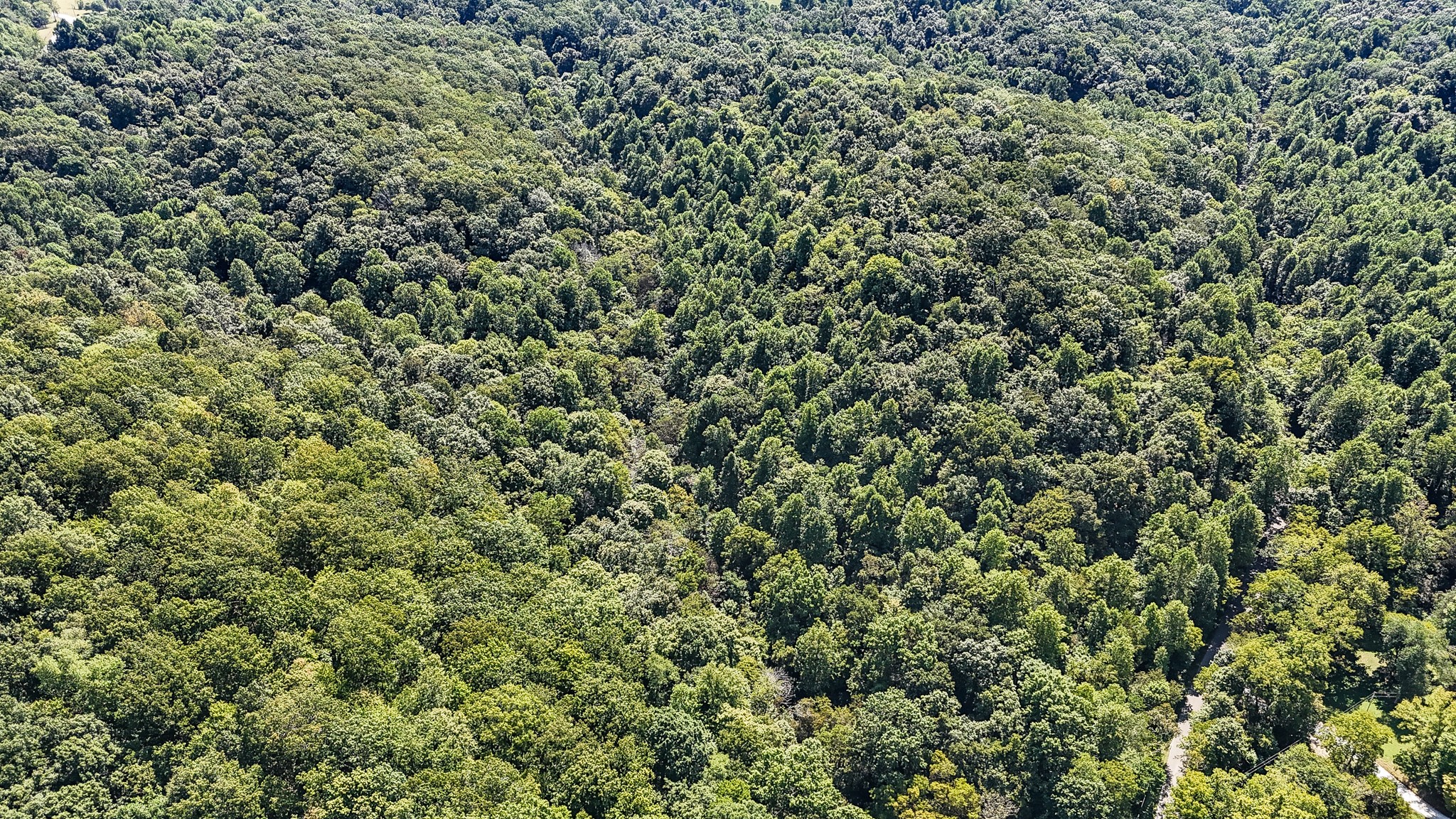 0 Straight Creek Road Wartrace TN 37183