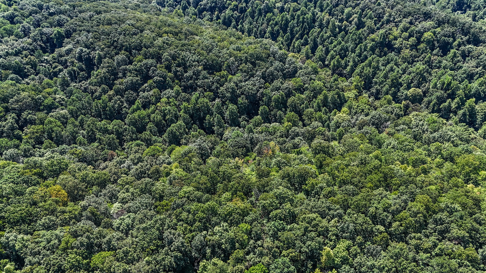 0 Straight Creek Road Wartrace TN 37183