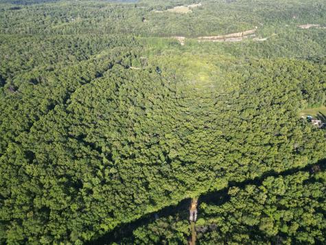 0 Laurel Lake Monteagle TN 37356