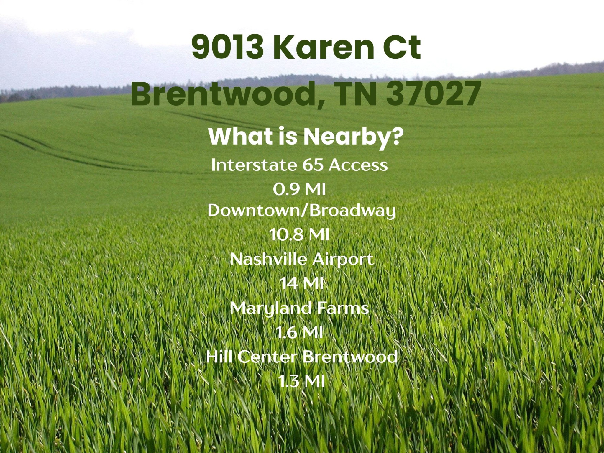 9013 Karen Court Brentwood TN 37027