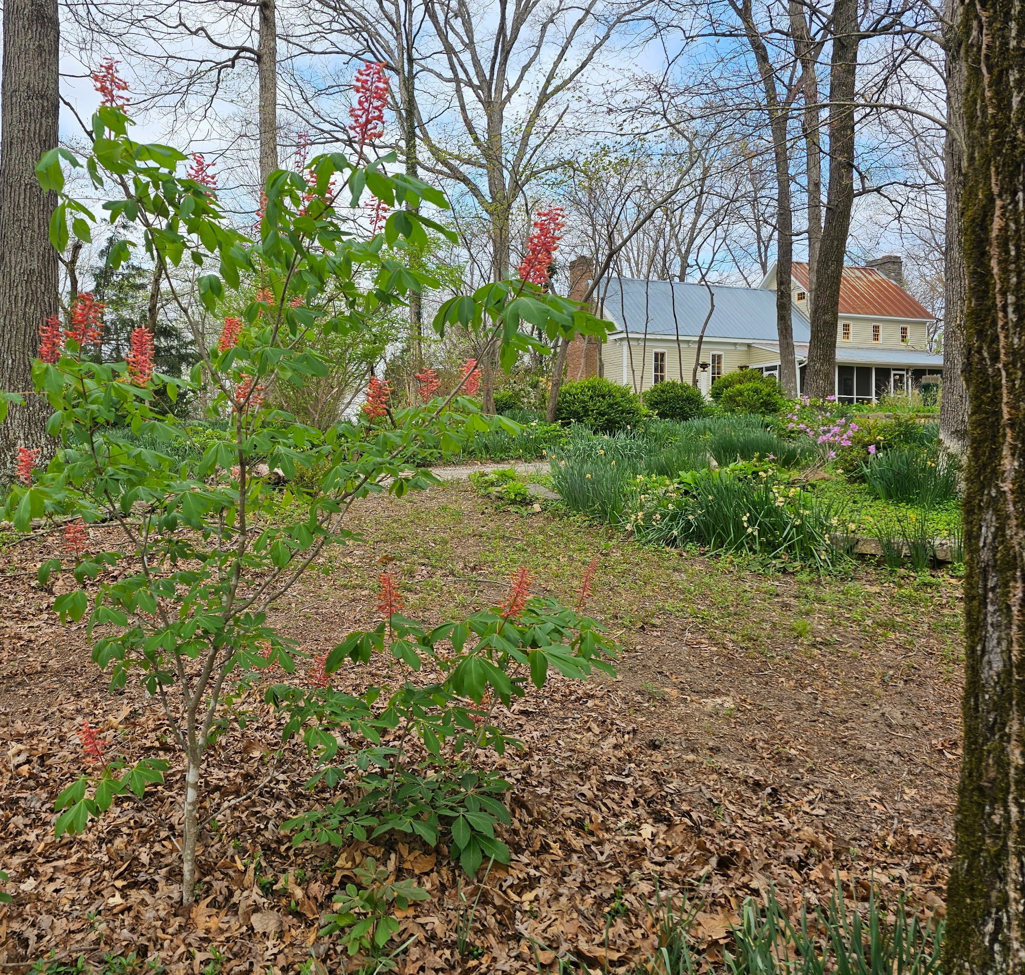 5180 Fire Tower Road Franklin TN 37064