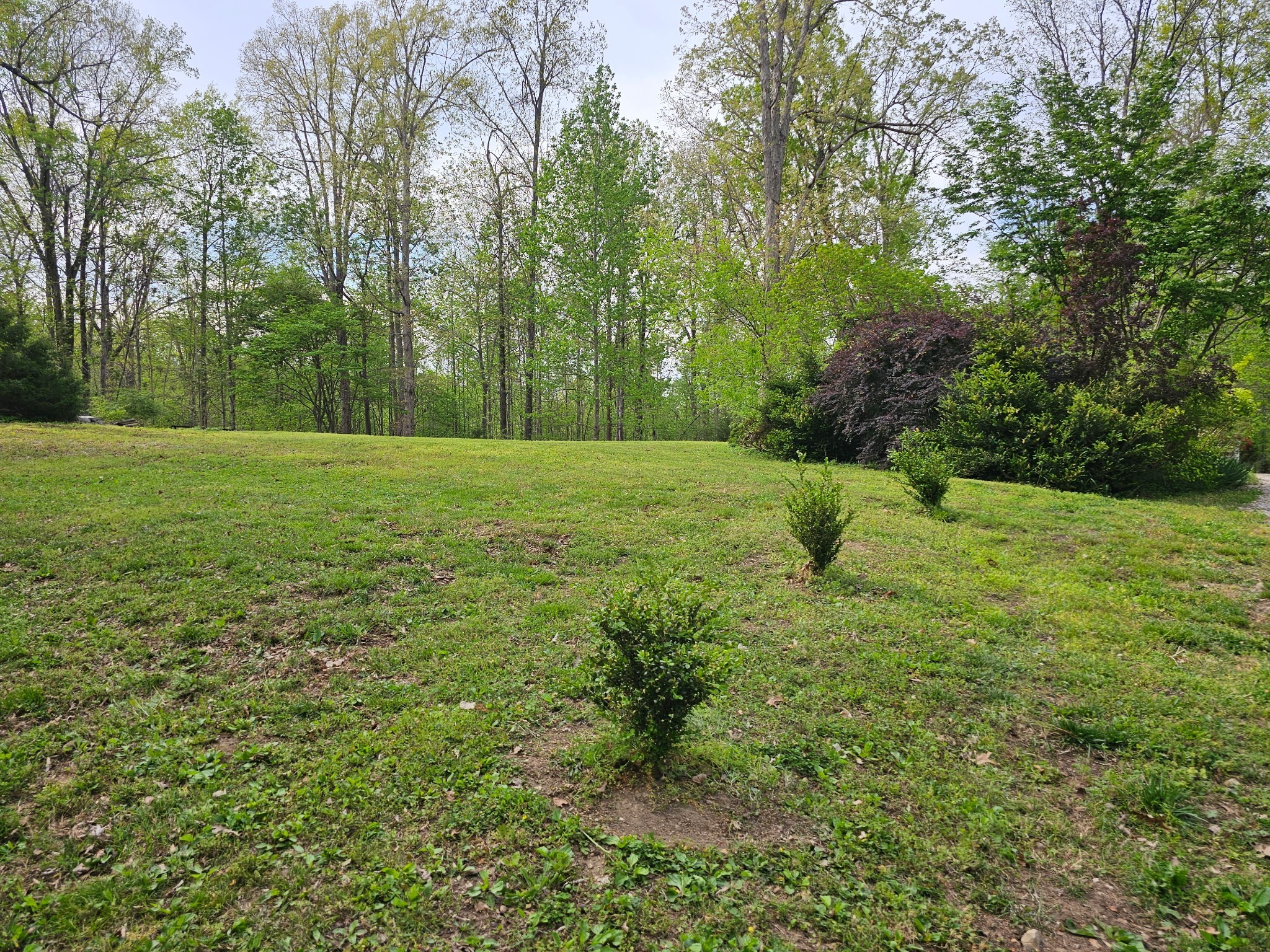 5180 Fire Tower Road Franklin TN 37064