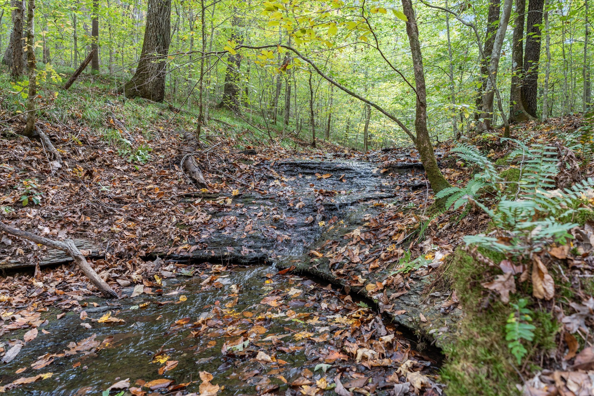 5180 Fire Tower Road Franklin TN 37064