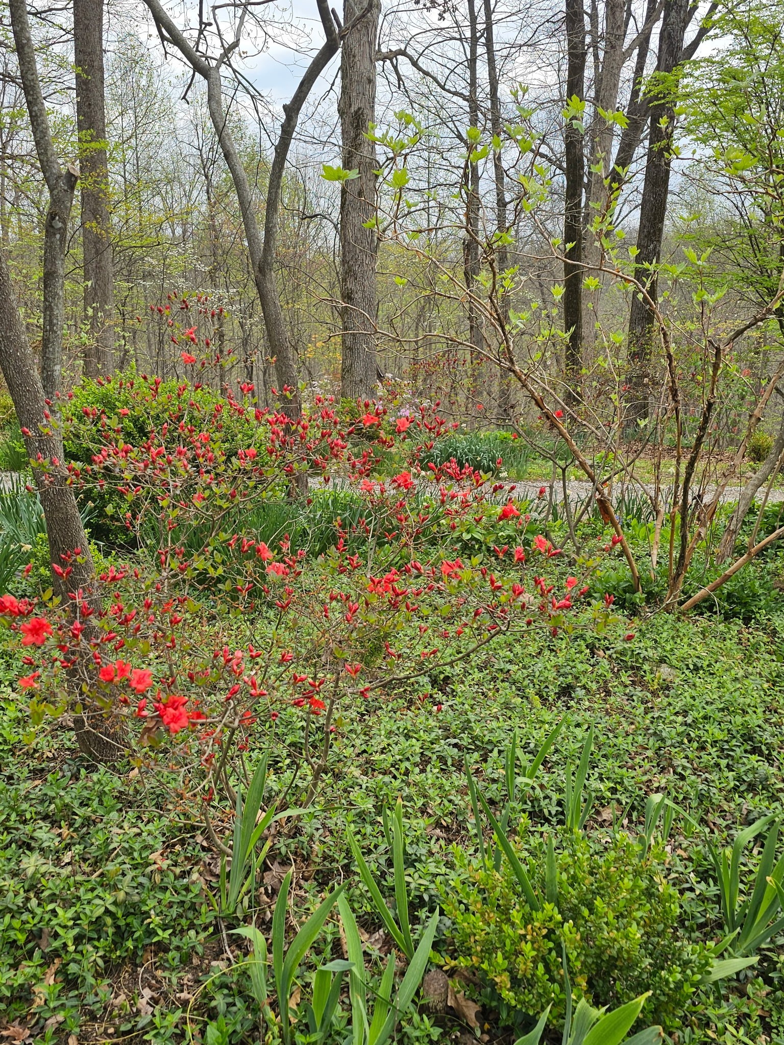 5180 Fire Tower Road Franklin TN 37064