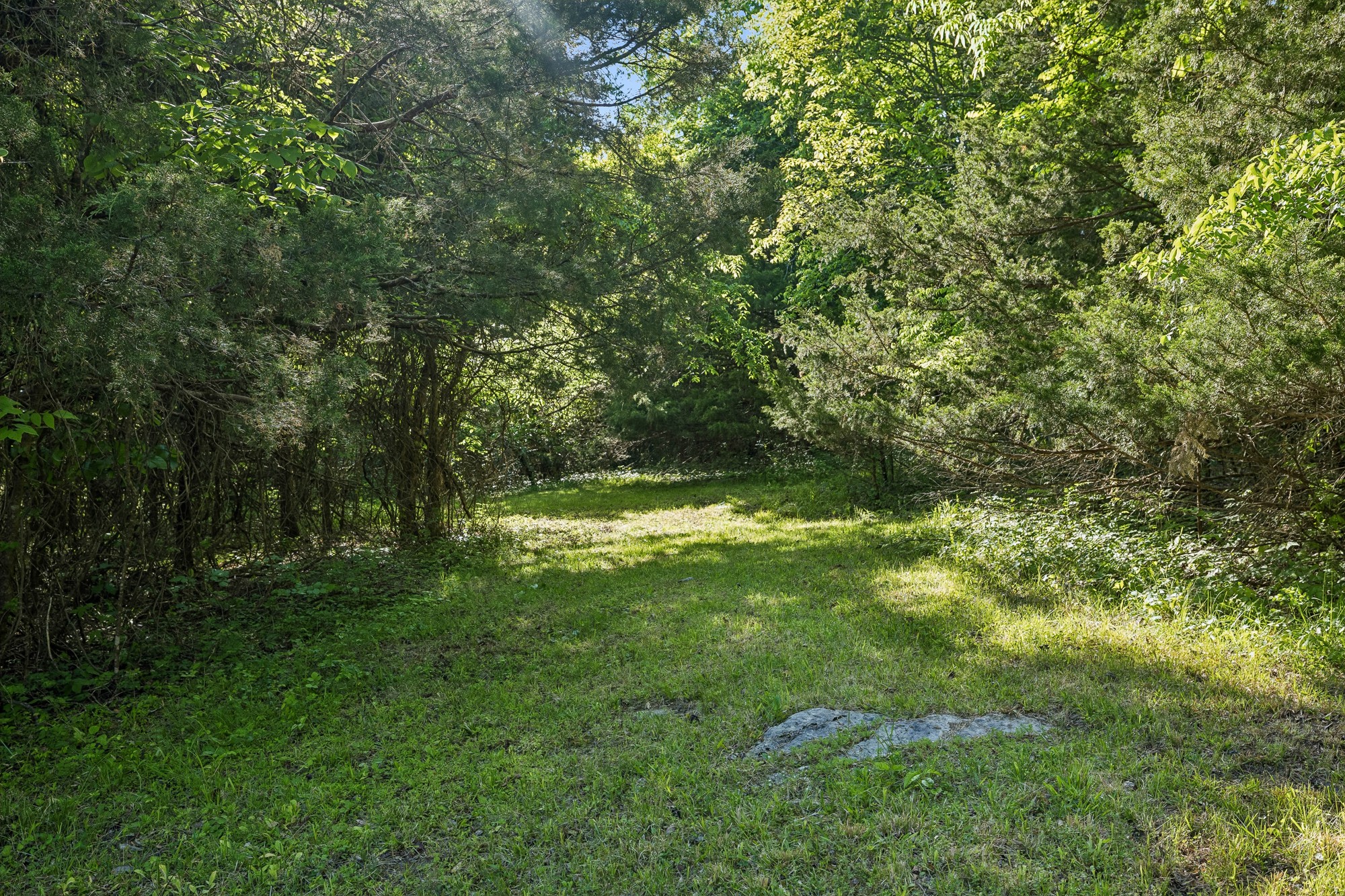 1650 Dickens Hill Road Bradyville TN 37026