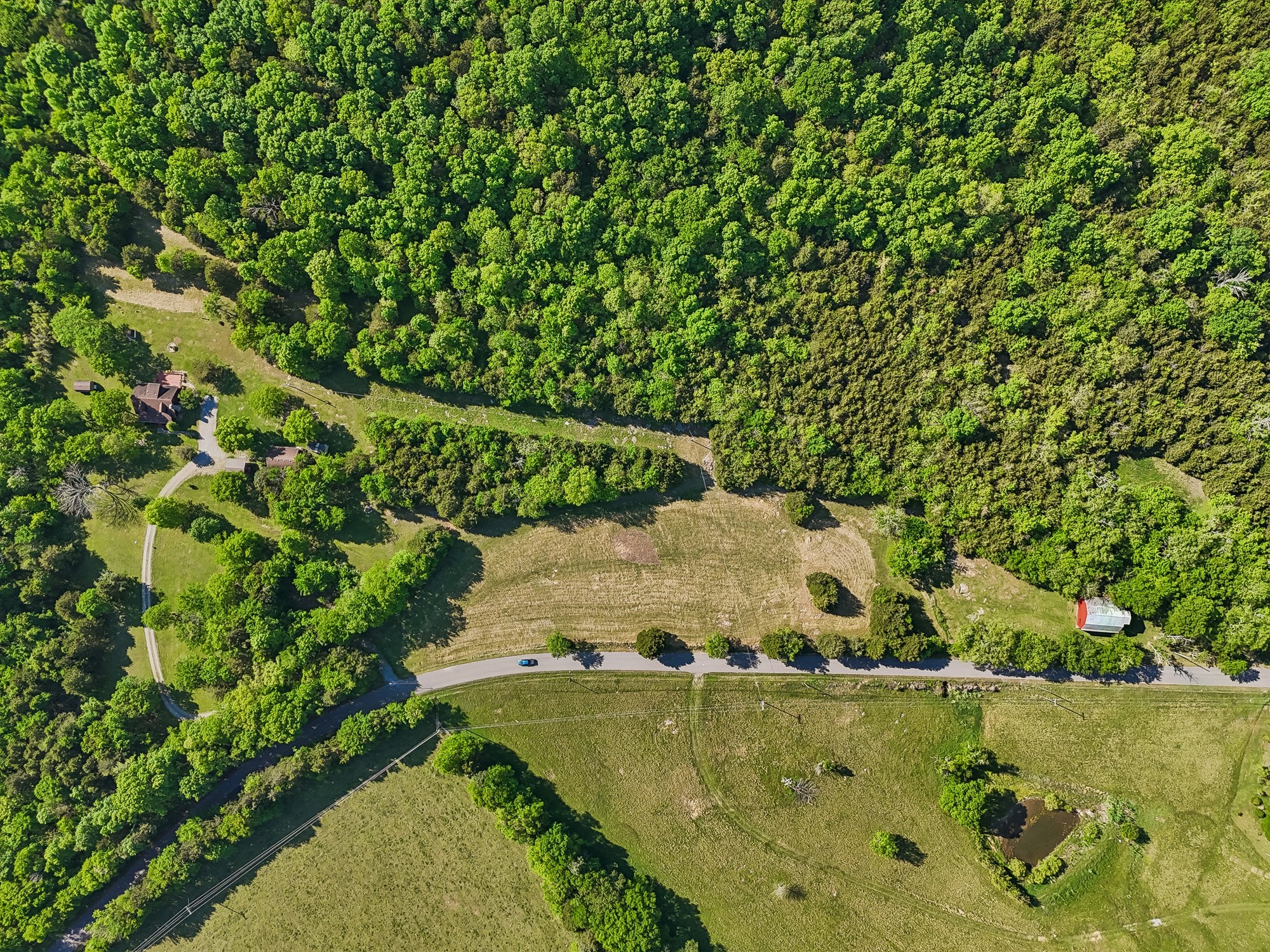 1650 Dickens Hill Road Bradyville TN 37026