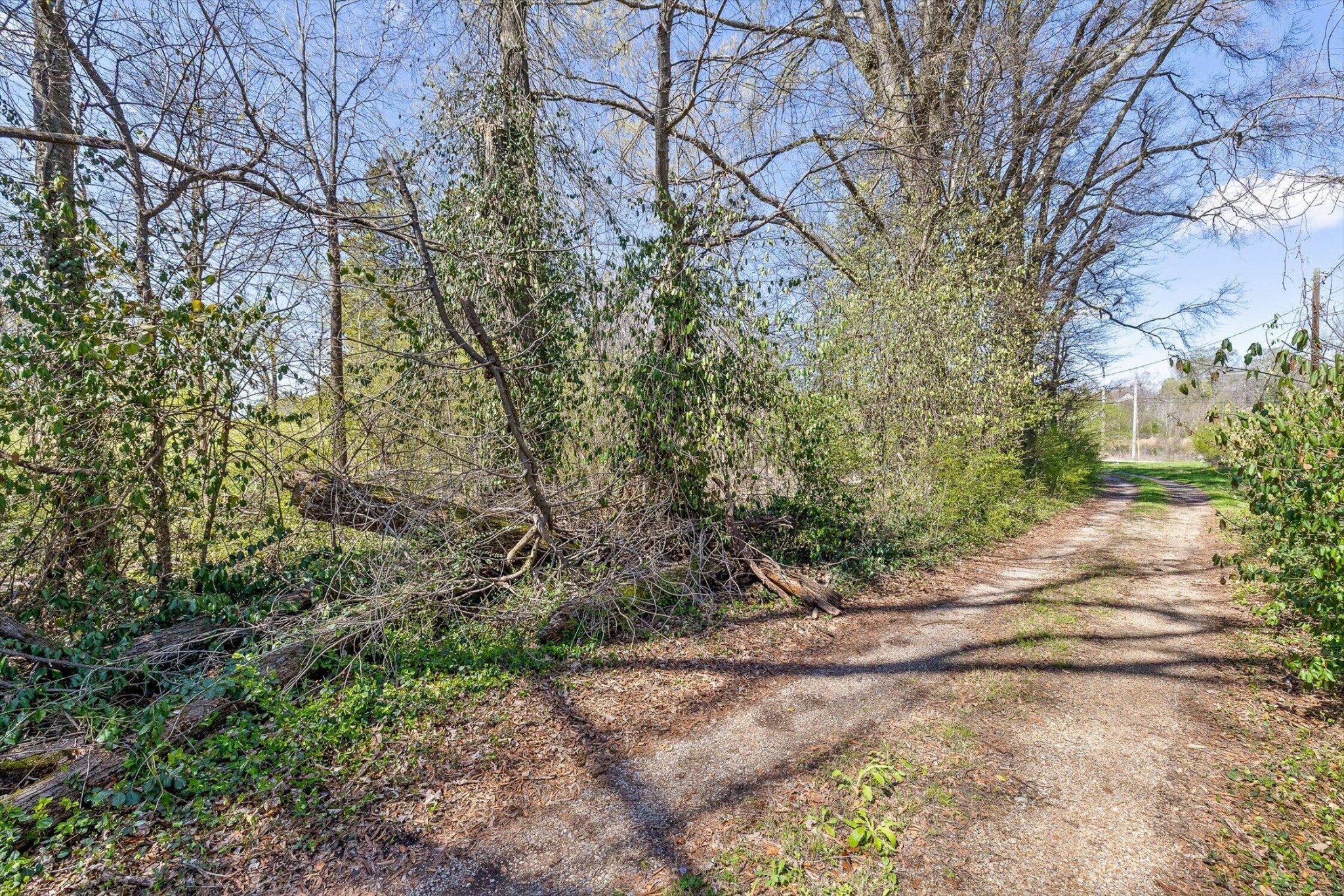 4971 Lillie Lane Ooltewah TN 37363