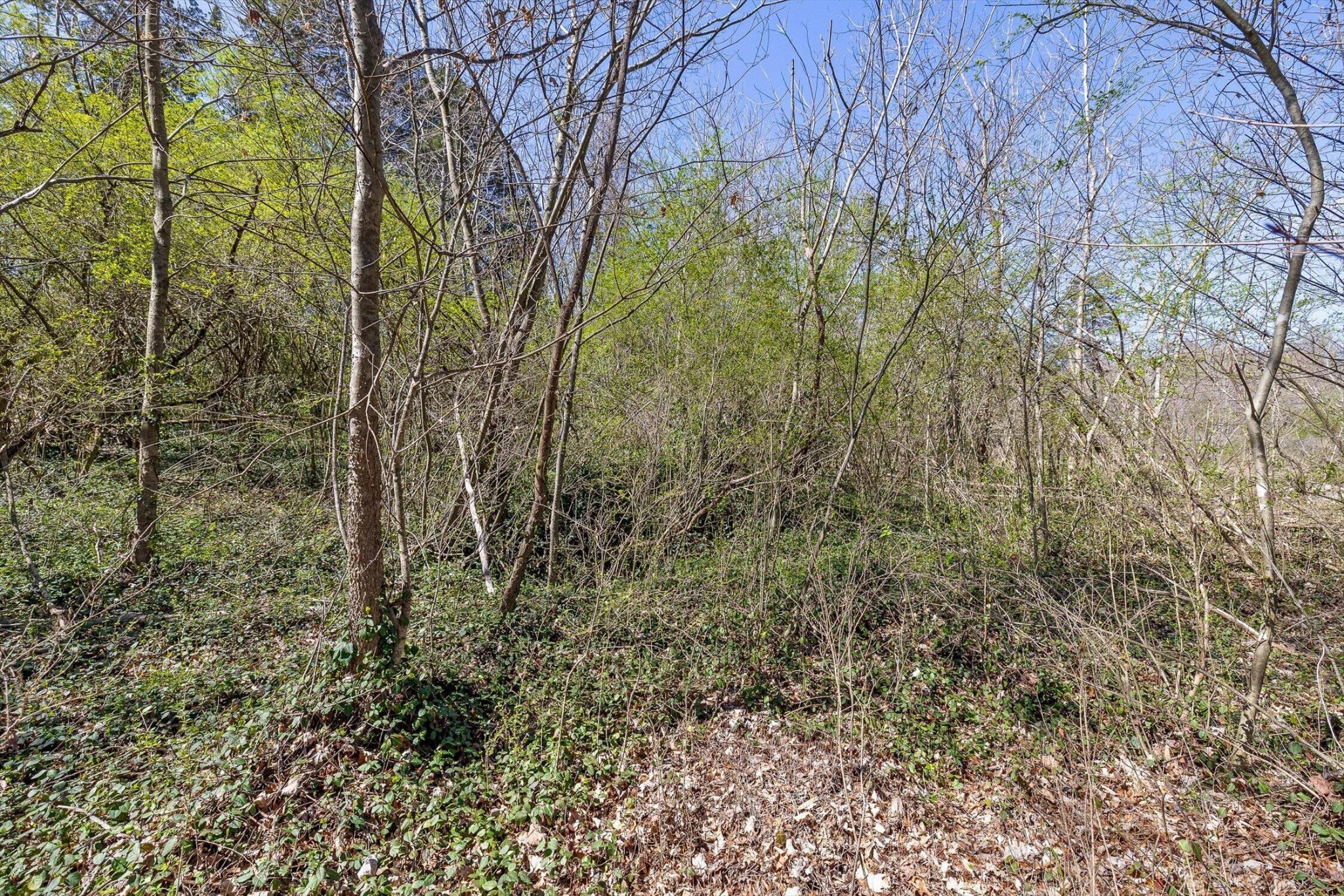 4971 Lillie Lane Ooltewah TN 37363