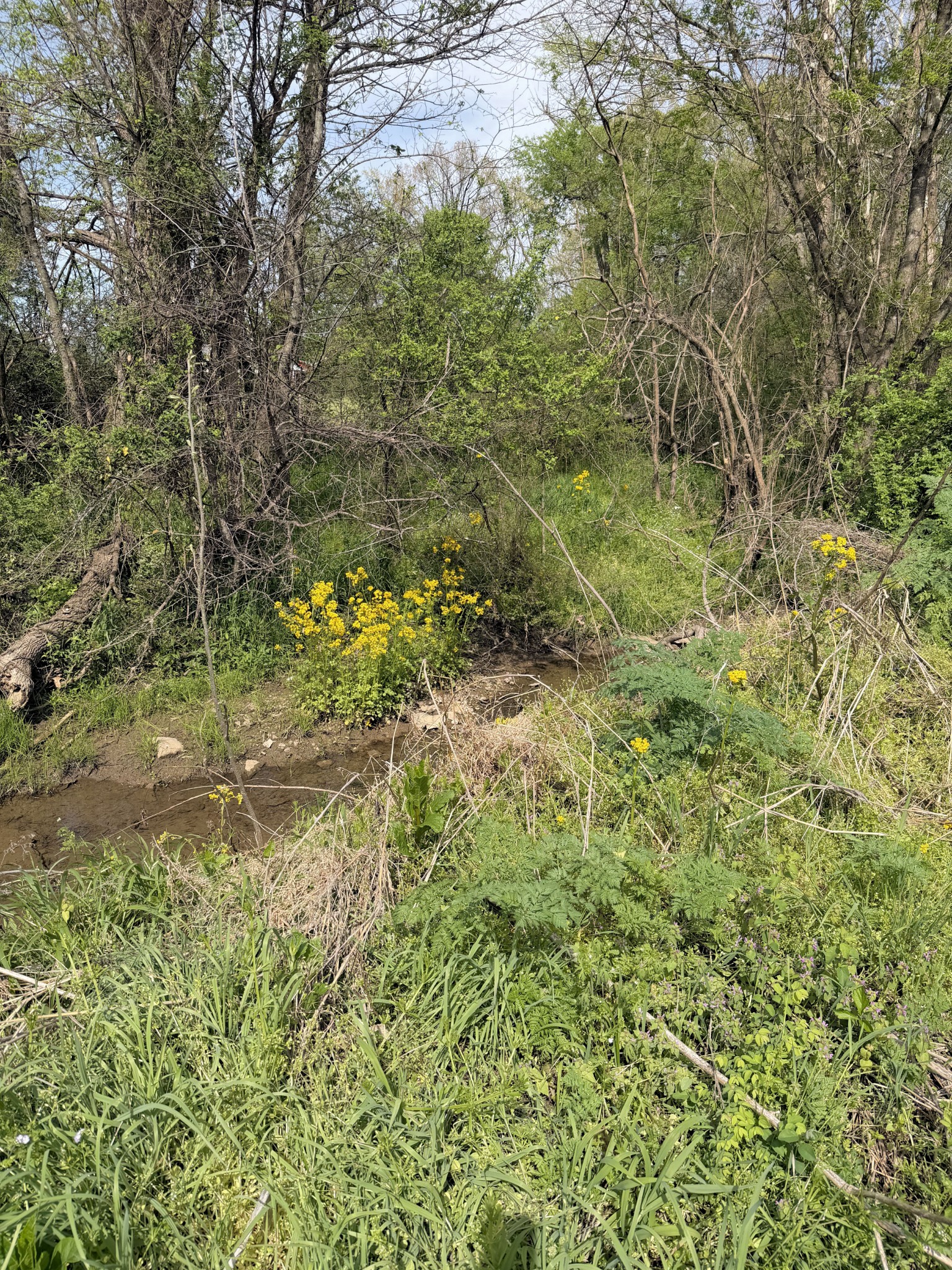 1931 Highway 82s, S Shelbyville TN 37160