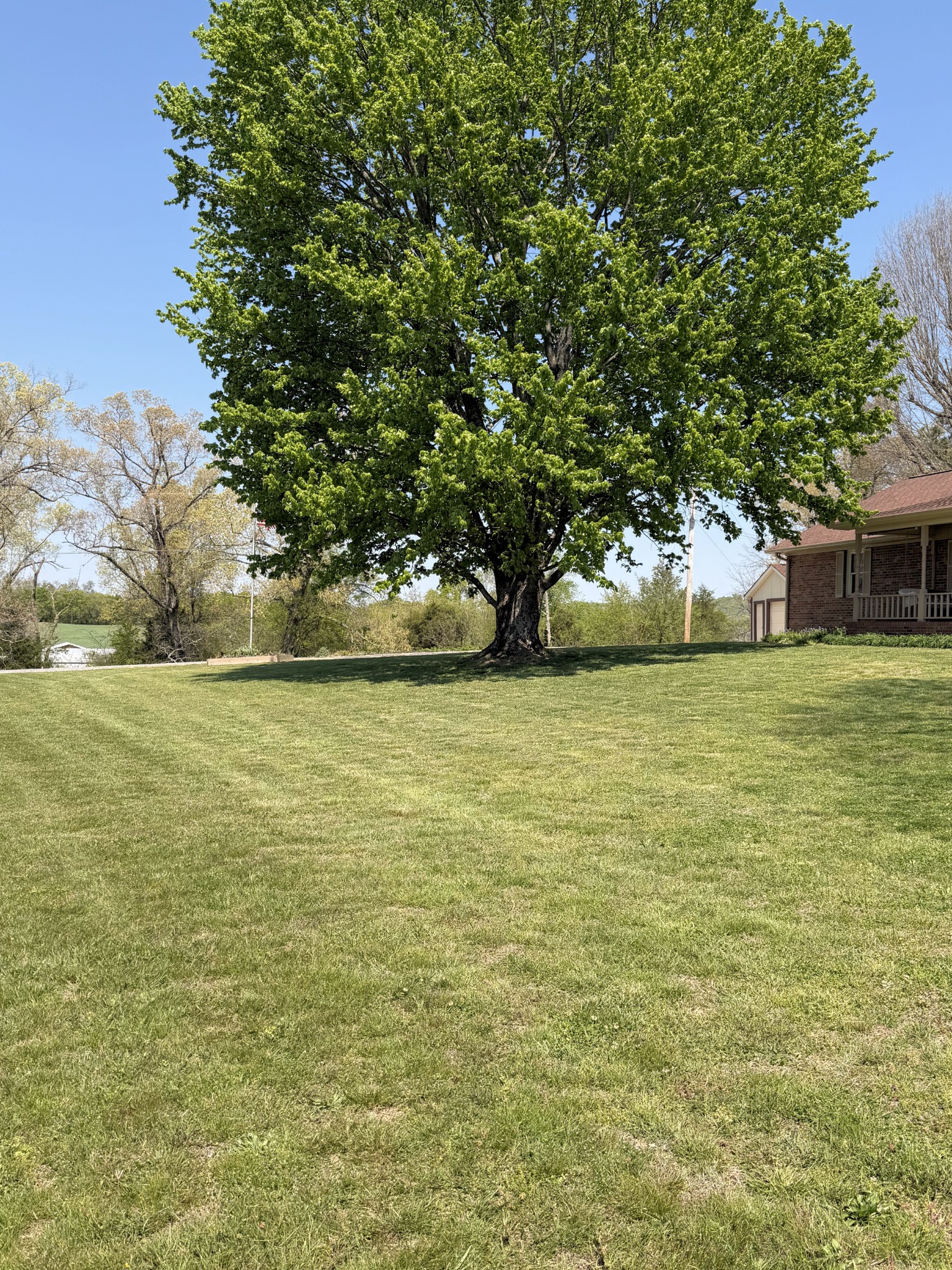 1931 Highway 82s, S Shelbyville TN 37160