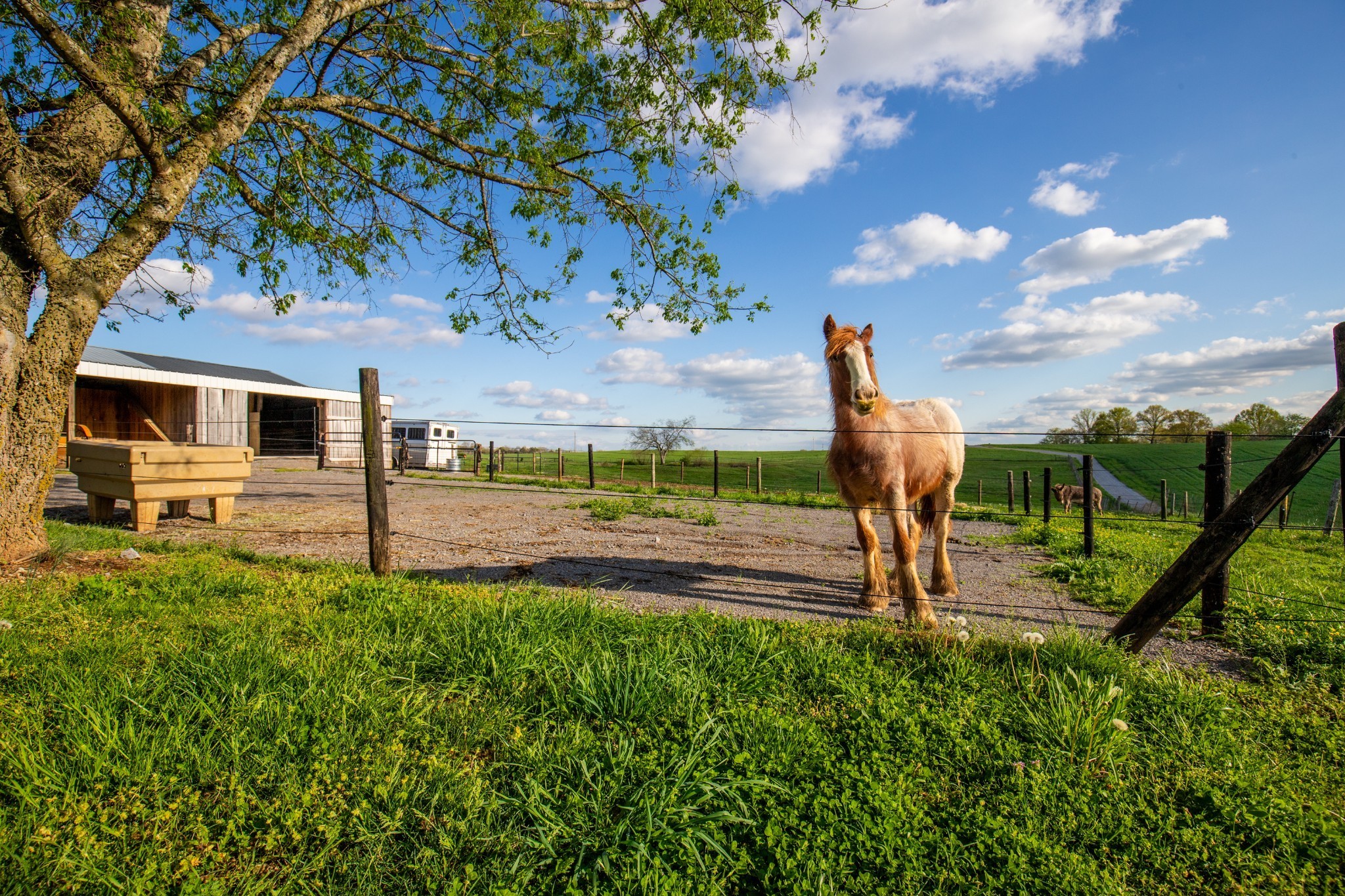 501 Burnt Hill Road Unionville TN 37180